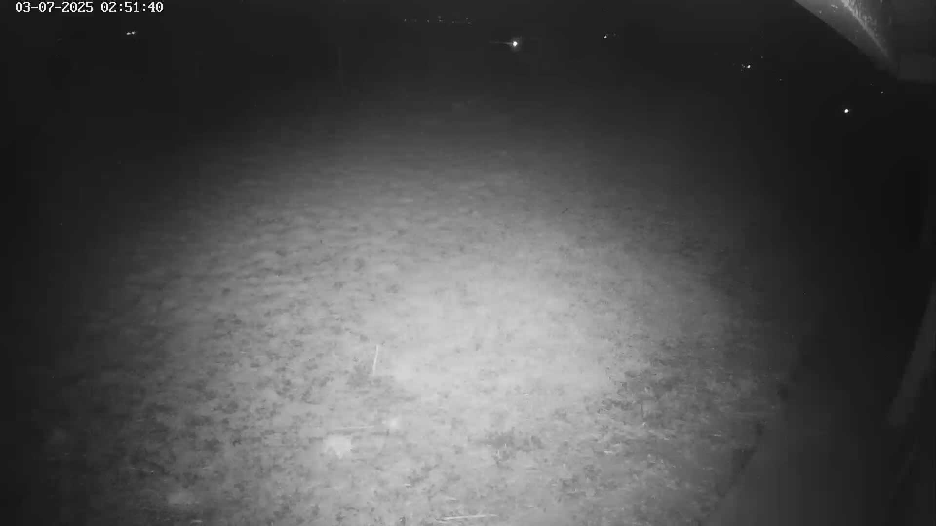 A nighttime, low-light view shows a dark, ground-level expanse of what appears to be dirt or grass under a dark sky.