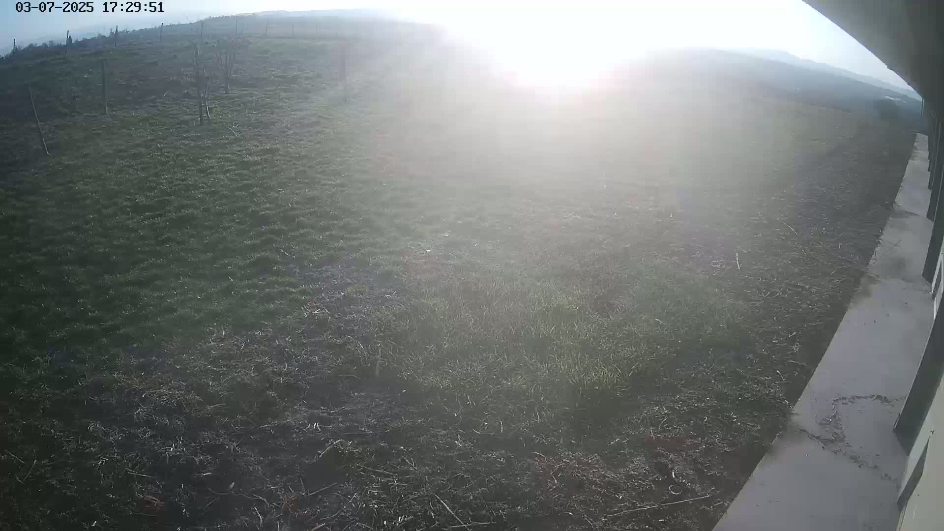 A hazy sun shines over a grassy field next to a concrete surface, partially visible from the corner of a building.
