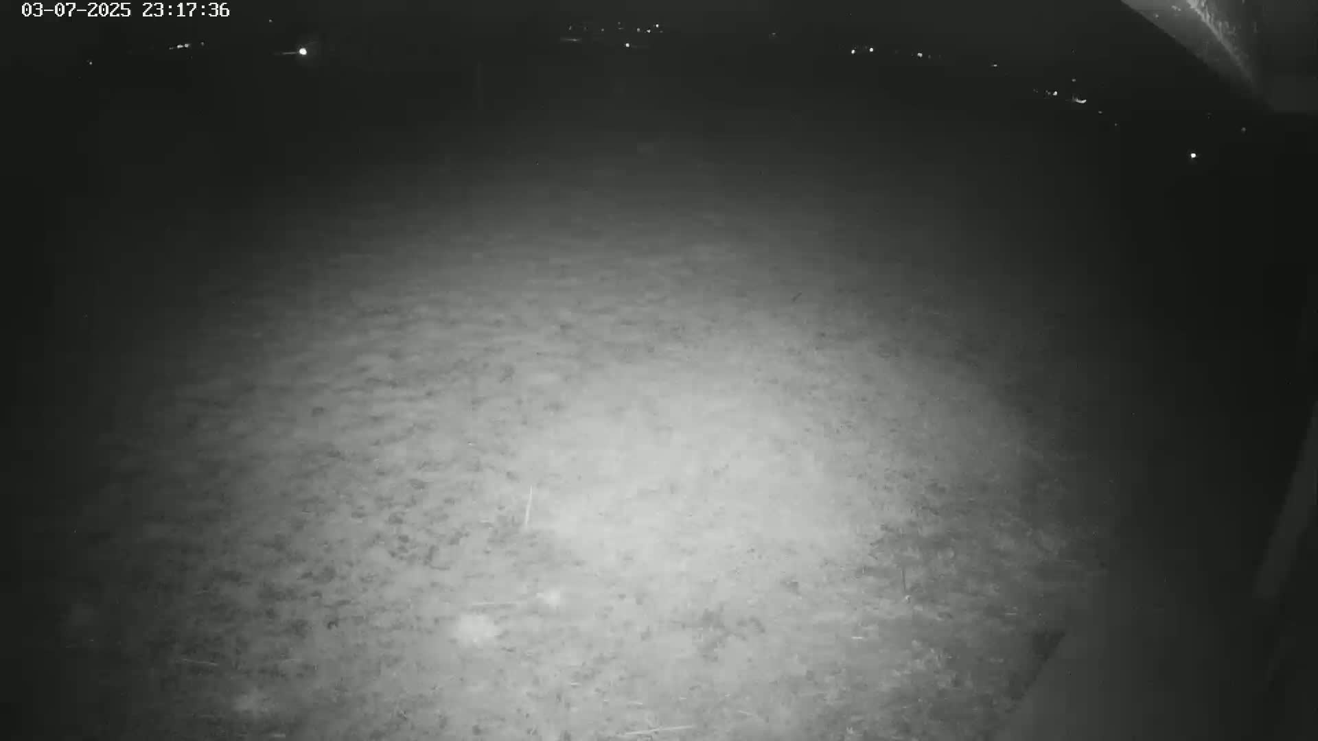 A nighttime, low-light view of a dark, mostly empty ground area.