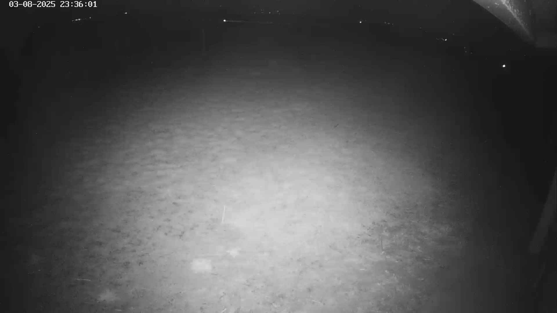 A nighttime, low-light view of a dark, flat ground extending to a dimly lit horizon.