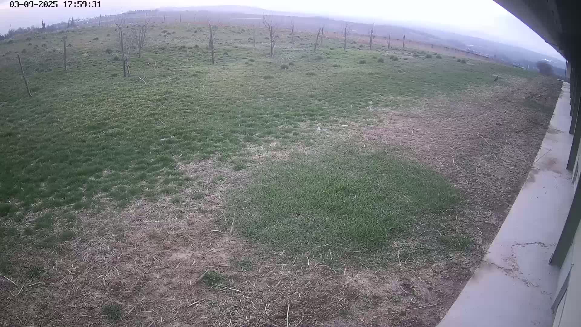 A mostly overcast view of patchy grass and bare ground next to a concrete surface, with a distant landscape visible under a hazy sky.