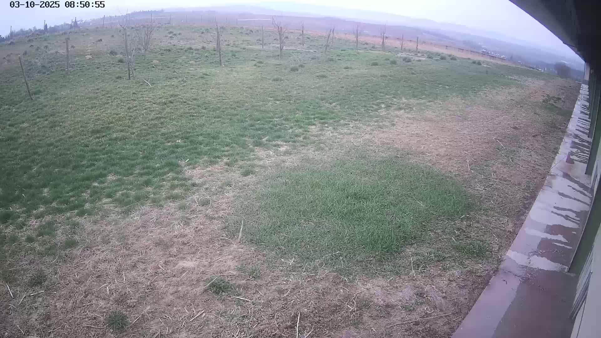 A mostly overcast outdoor scene shows patchy grass, some green and some brown and dry, next to a concrete structure on an overcast day.