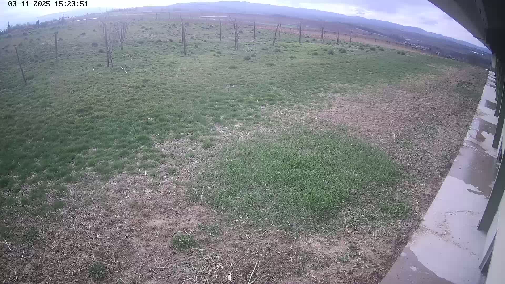 A mostly overcast view of patchy grass and bare ground next to a concrete surface, with distant mountains visible in the background.