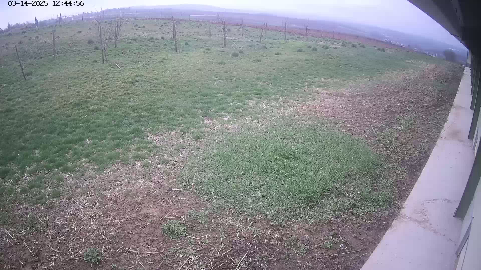 A mostly overcast day reveals a large patch of patchy grass next to a concrete area, with a few scattered trees and a distant horizon visible.