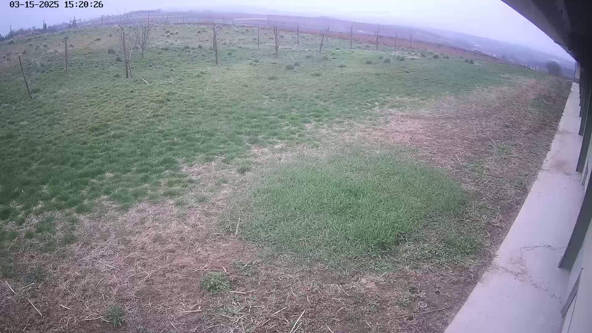 A patchy grassy field with some bare dirt, viewed from a slightly elevated position next to a concrete surface on an overcast day.