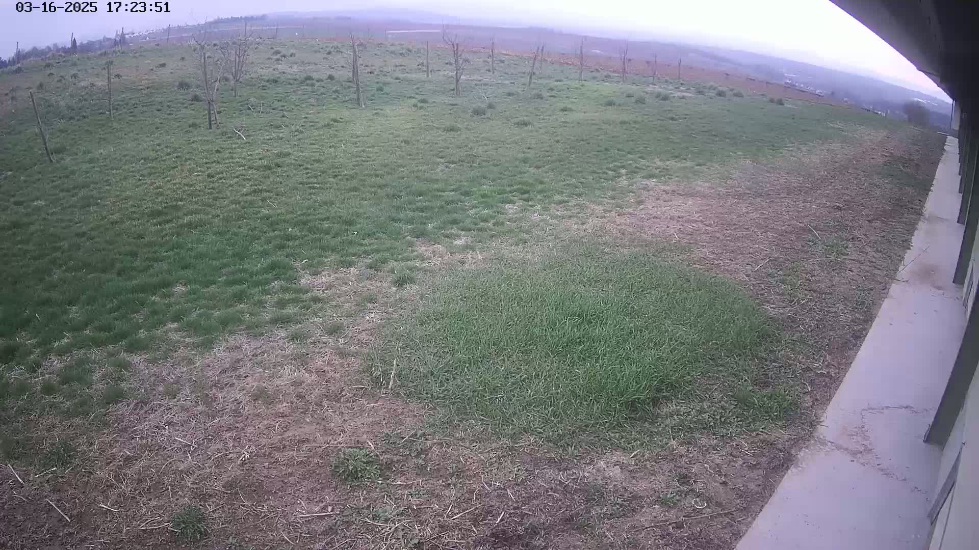 A view from a building shows patchy grass, some green and some brown, under an overcast sky.