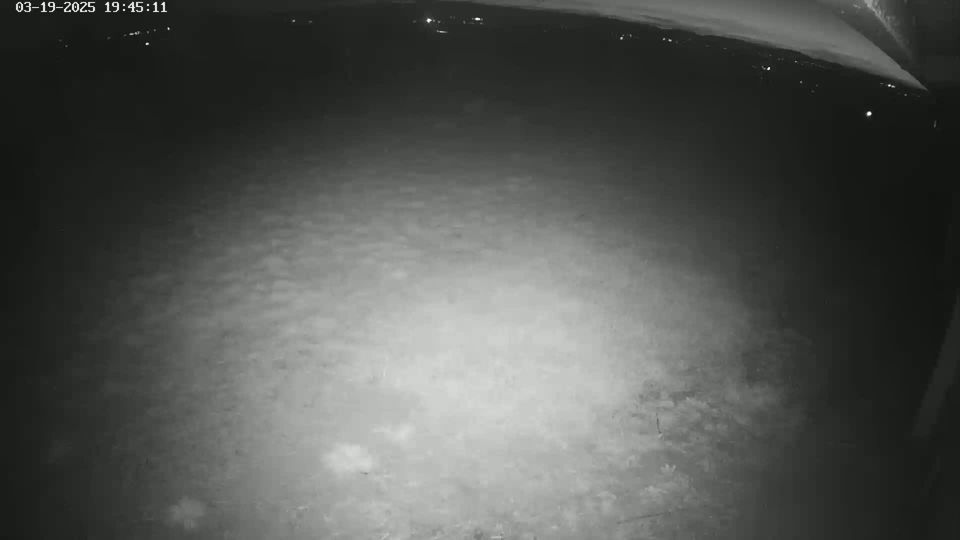 A nighttime, low-light image shows a ground-level view of a dark, uneven surface, possibly dirt or gravel.