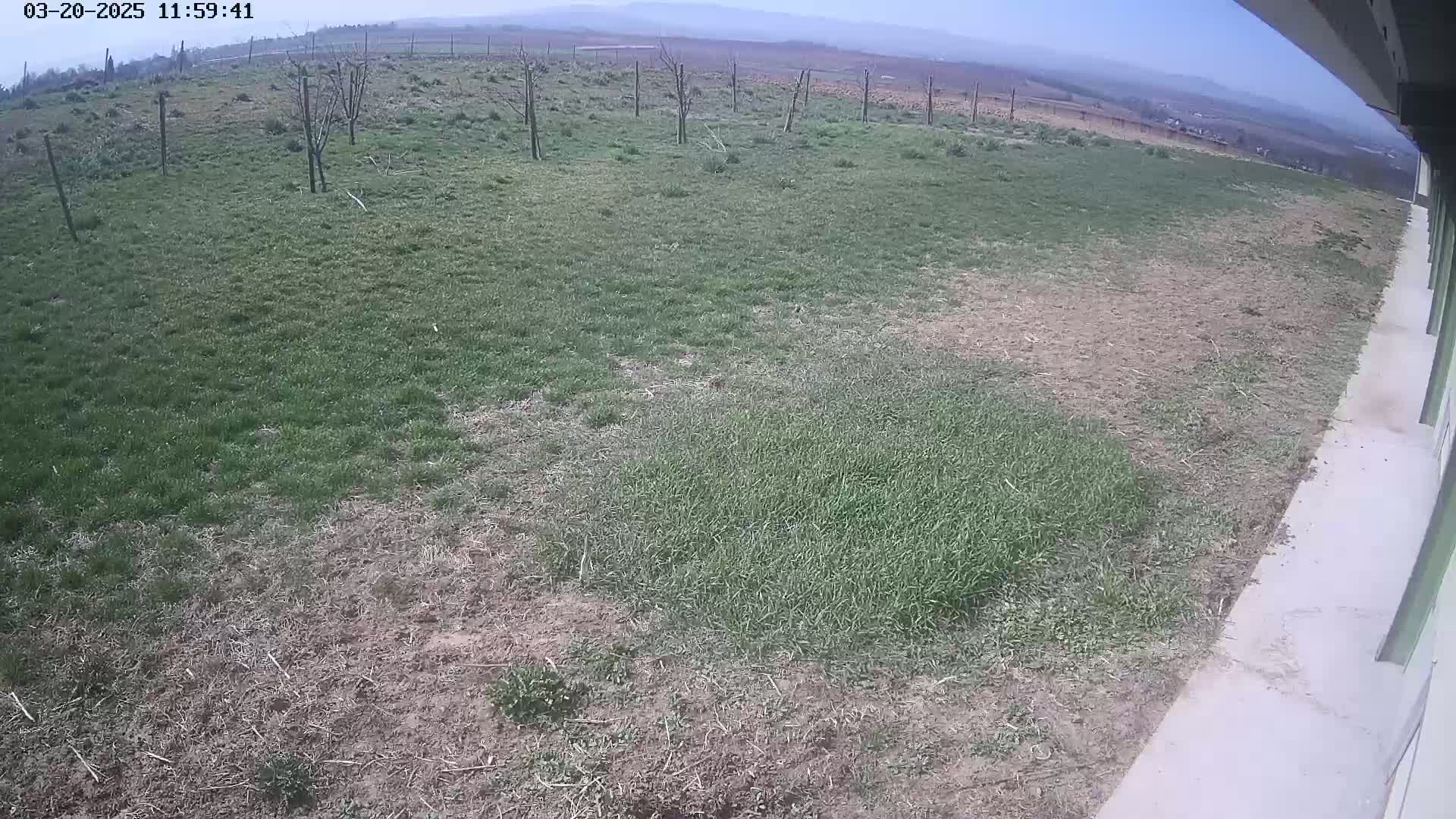 A mostly clear day reveals a patchy lawn with some bare ground, a few young trees, and a distant view of rolling hills.