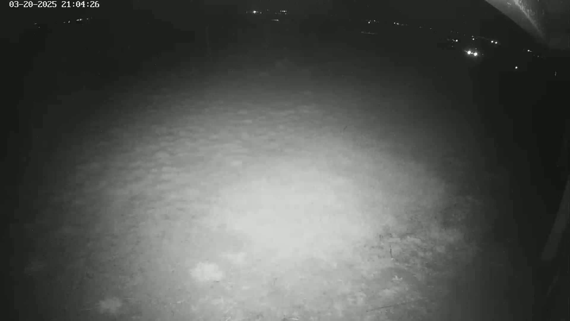 A nighttime, low-light view shows a mostly empty, textured ground with some indistinct objects and distant lights in the background.