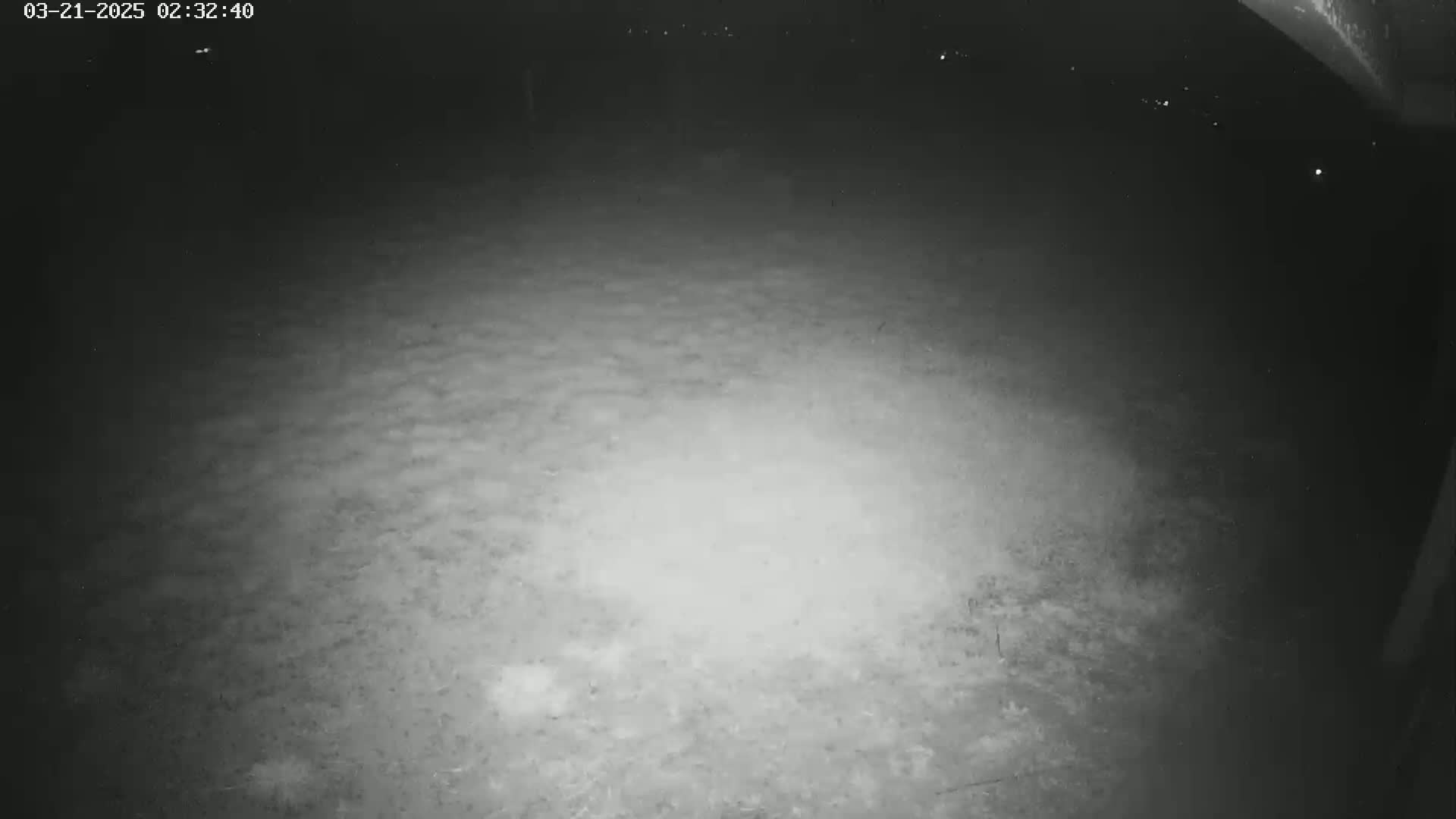 A nighttime, low-light image shows a ground surface that appears to be dirt or gravel, with a slightly brighter area in the center.