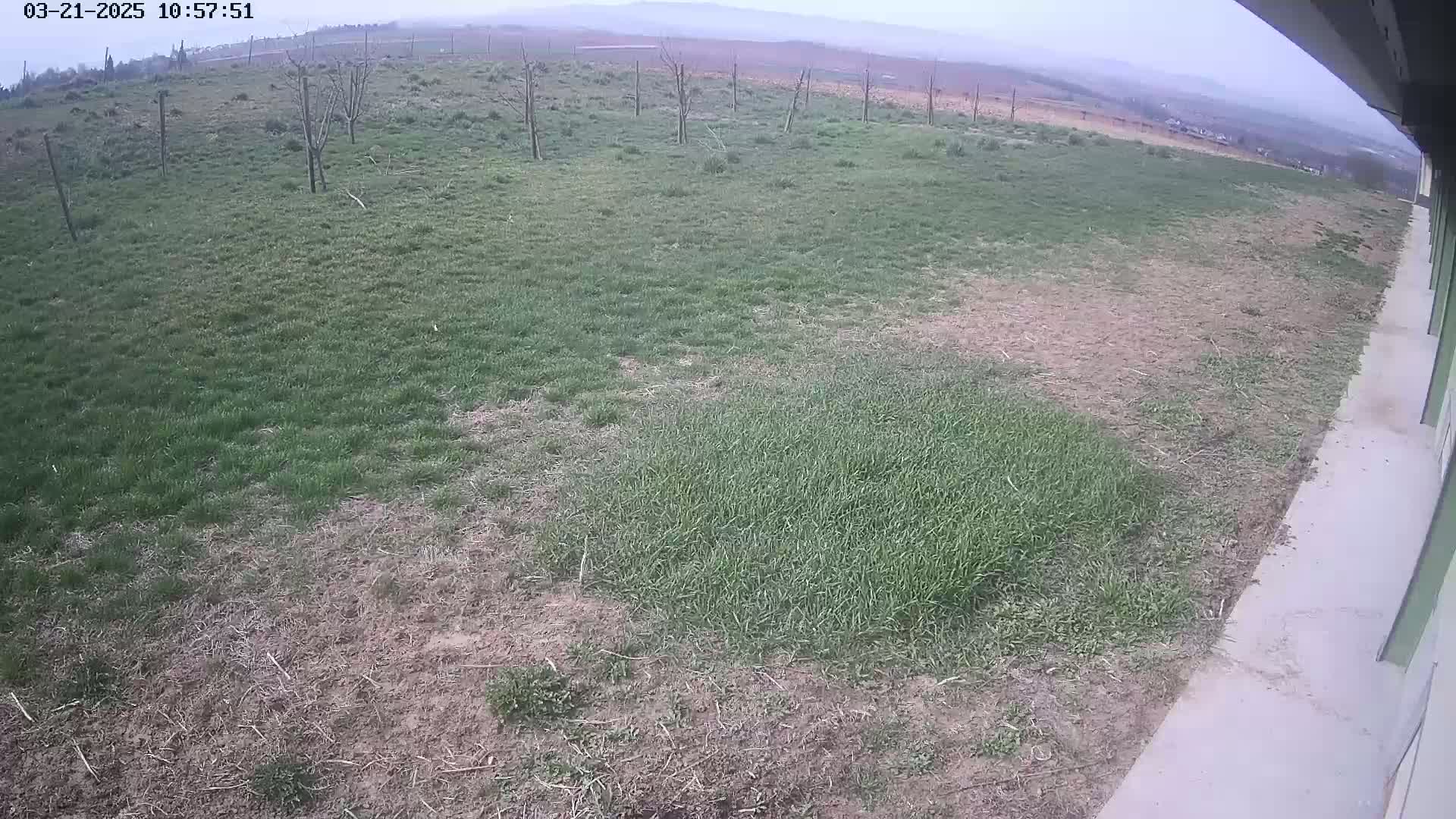 A mostly overcast outdoor scene shows patches of green grass next to bare, brown ground near a building's edge.