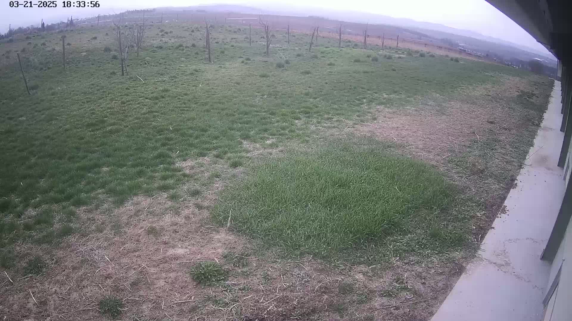 A large, patchy lawn with some dead grass and a few bare trees is visible from a building's edge on an overcast day.