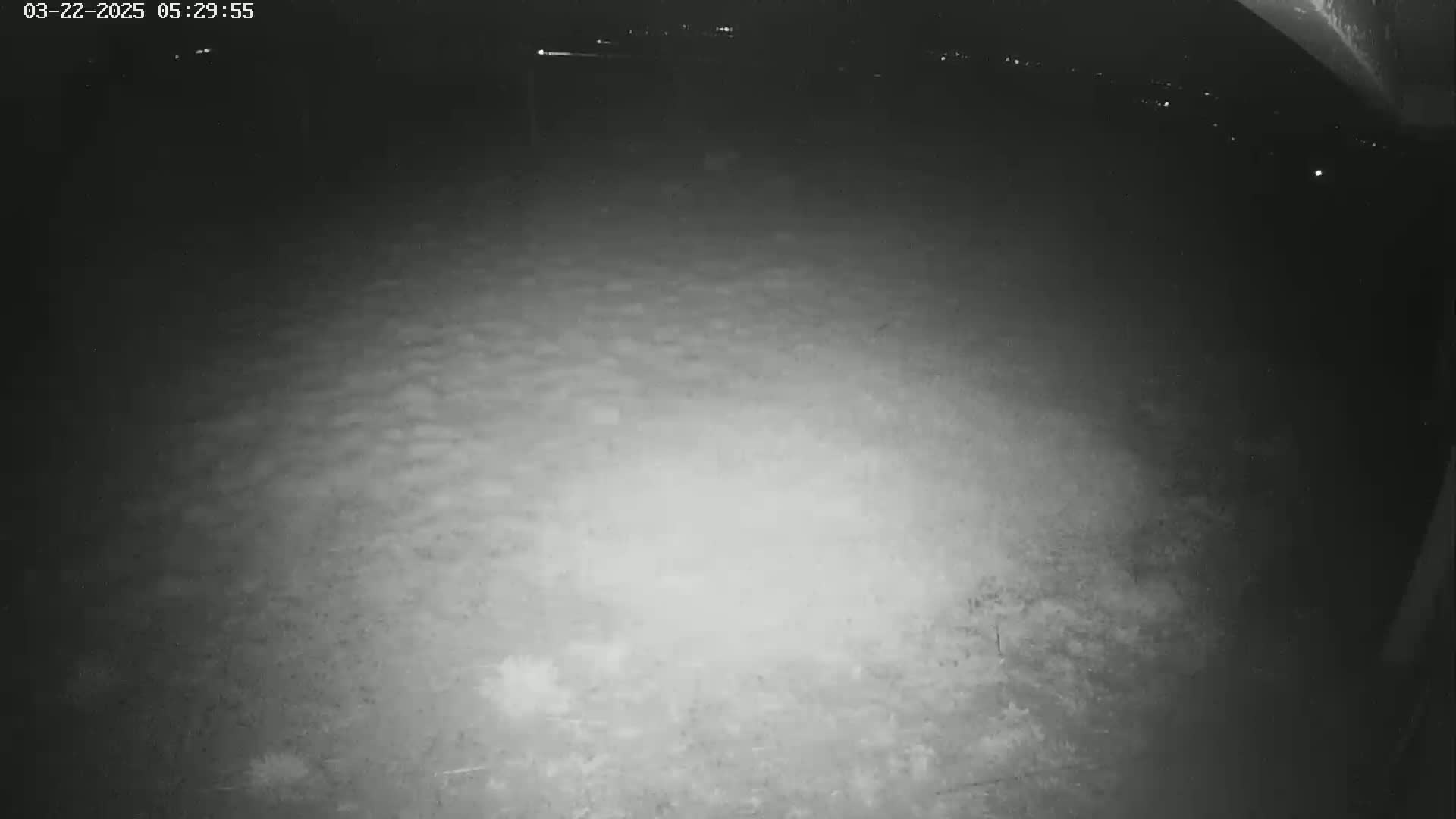 A nighttime, low-light view of a mostly empty, uneven ground surface.