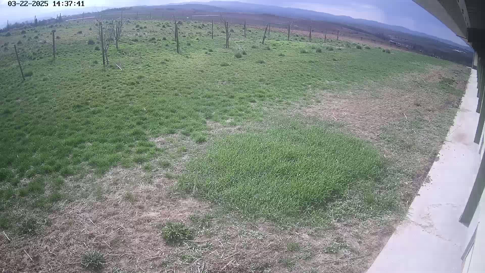 A partly sunny view of a patchy grassy field with some bare dirt, seen from a slightly elevated vantage point next to a concrete surface.