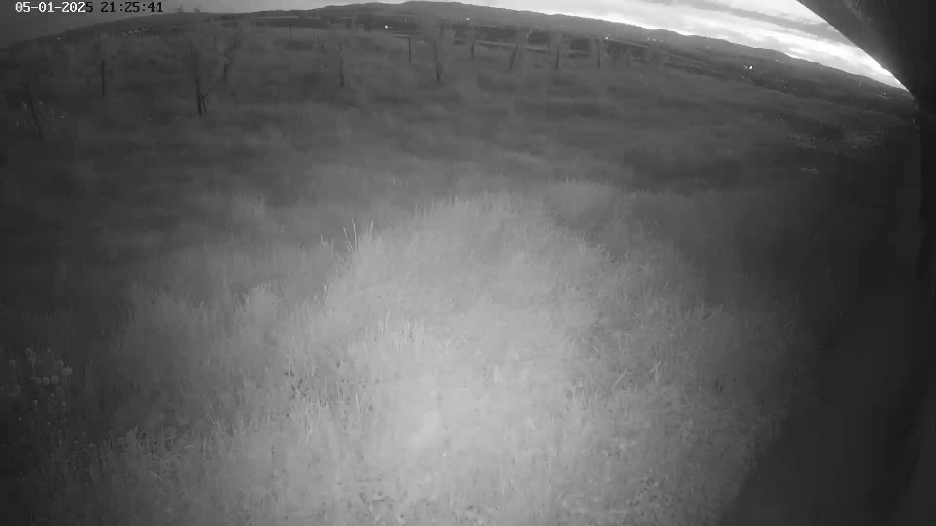 A nighttime, low-light view shows overgrown grass and a few distant trees under a partly cloudy sky.