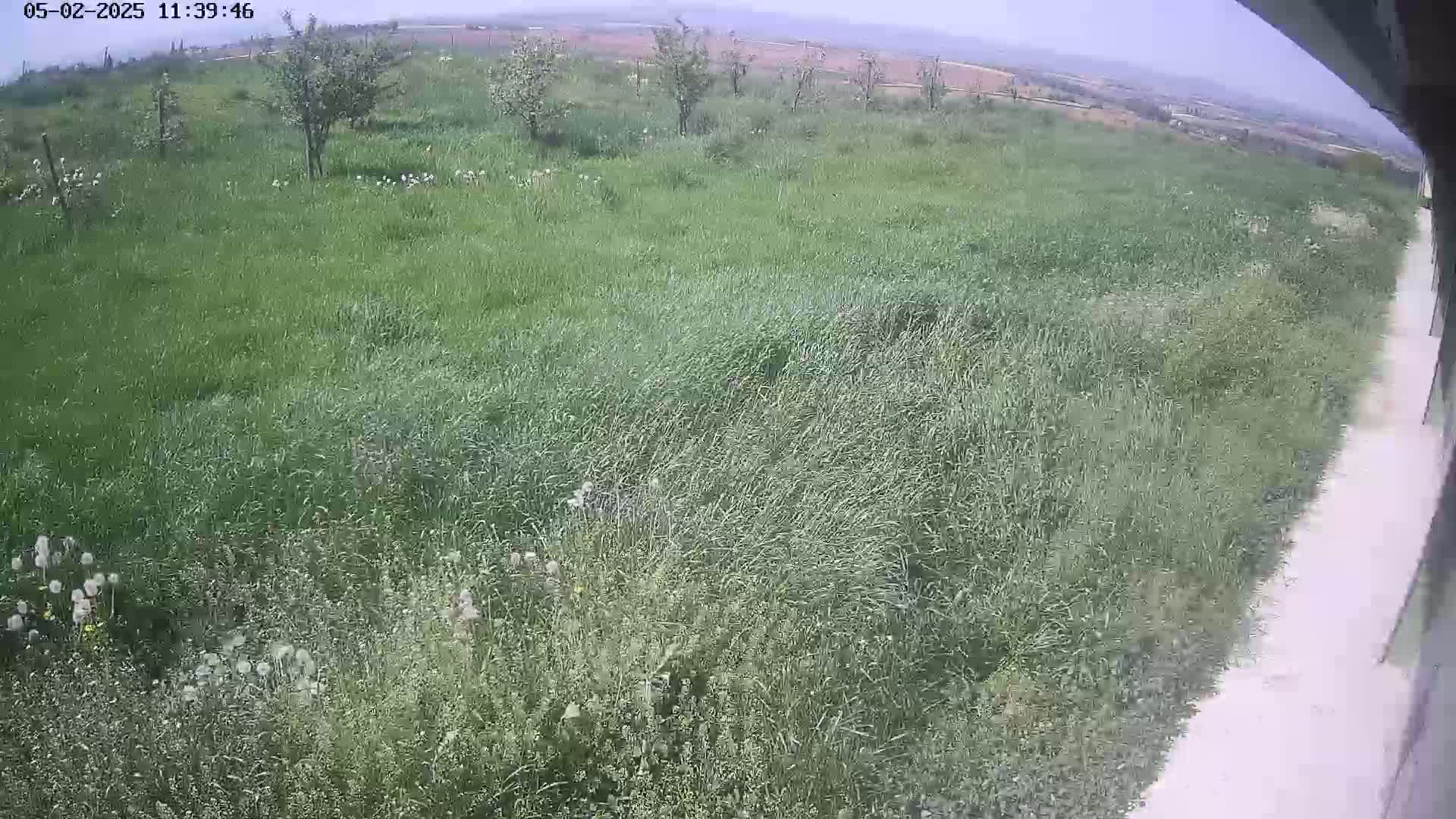 A grassy field with several small trees is visible under a mostly cloudy sky.