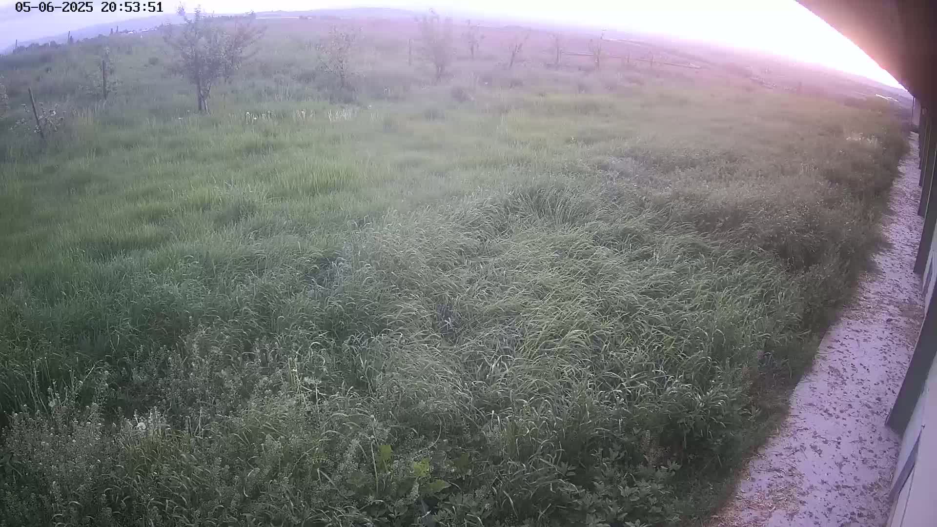 A grassy field with a few small trees under a hazy, twilight sky next to a paved walkway.