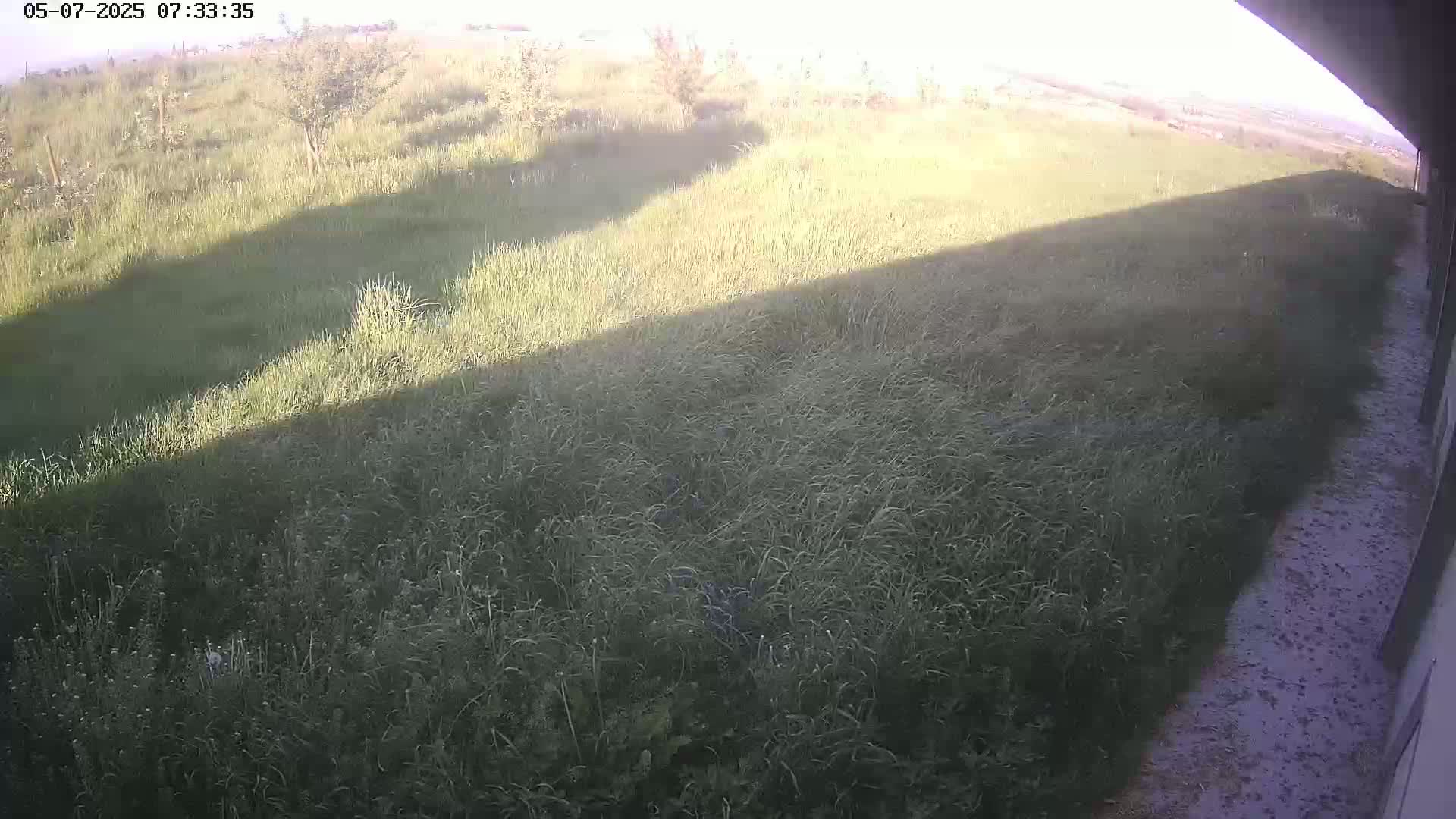A grassy field with tall grass and a few small trees is partially illuminated by sunlight, casting shadows across the landscape.