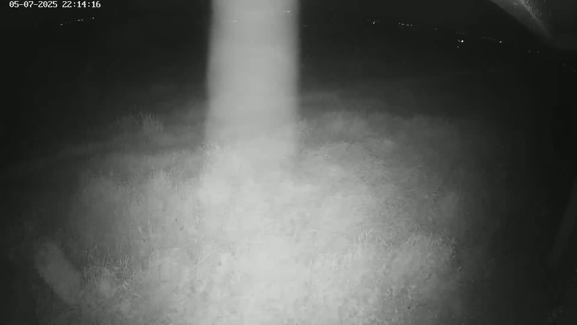 A nighttime, low-light image shows a patch of ground illuminated by a bright vertical beam of light.