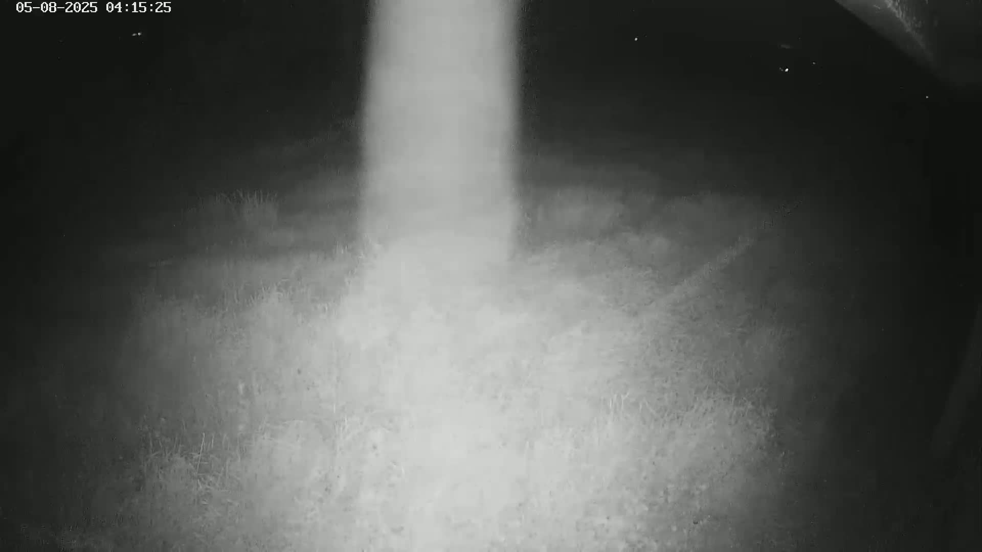 A bright, vertical beam of light illuminates a dark, grassy area at night.