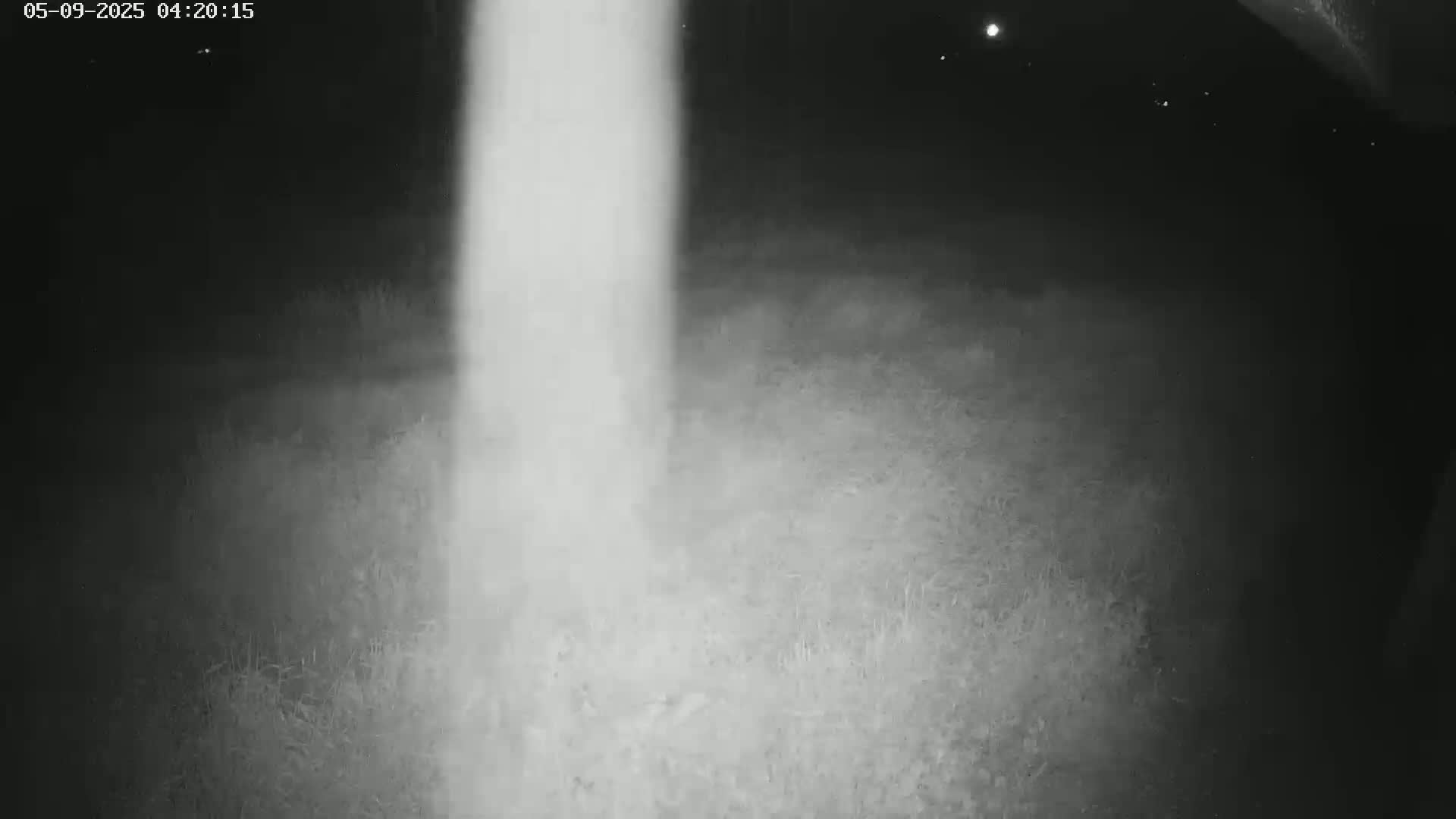 A nighttime, grainy, black-and-white image shows a bright vertical light source illuminating a patch of ground covered in short grass.