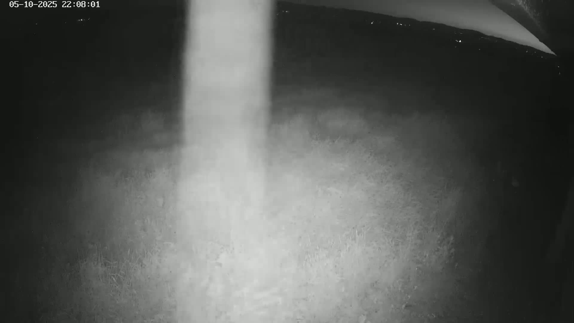 A blurry, grainy nighttime image shows a bright vertical light source illuminating patchy grass.