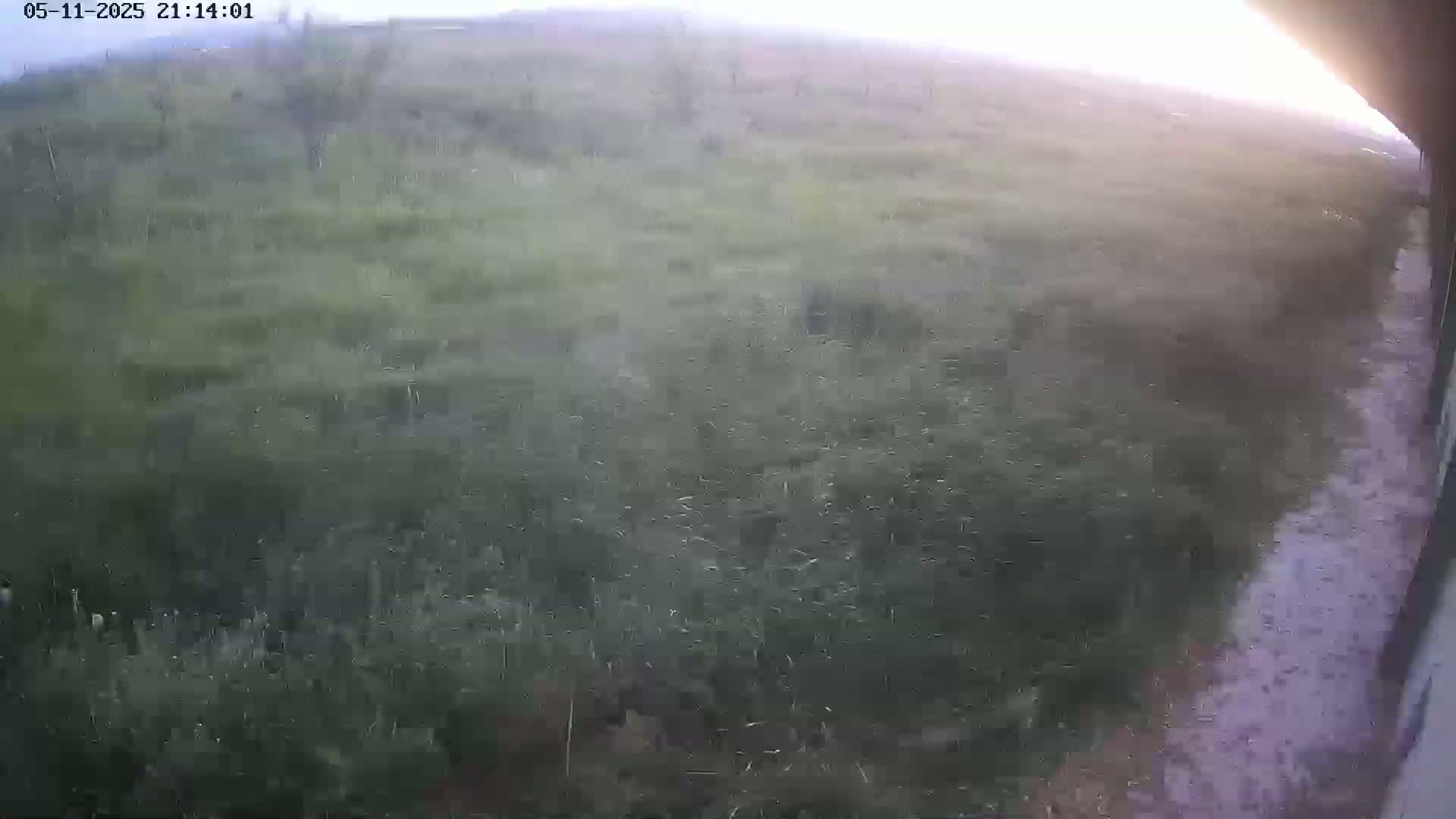 A view of a grassy field with light rain falling, seen from inside a vehicle.