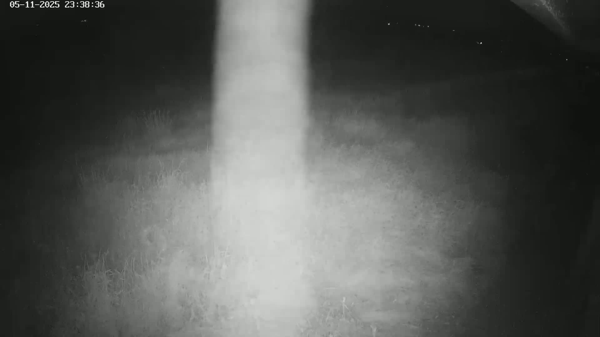 A bright vertical beam of light illuminates a dark, grassy area at night.