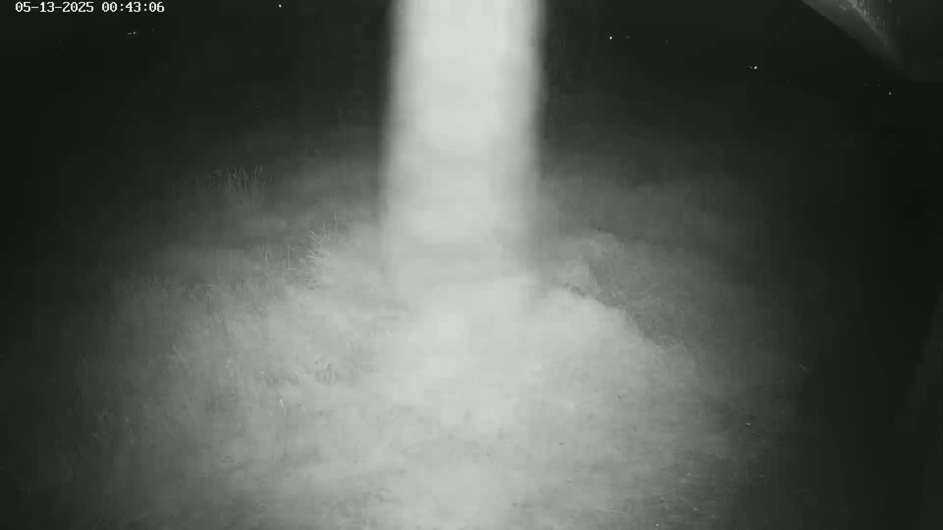 Gougenheim Live Cam - Saverne, Bas-Rhin,  Grand Est, France