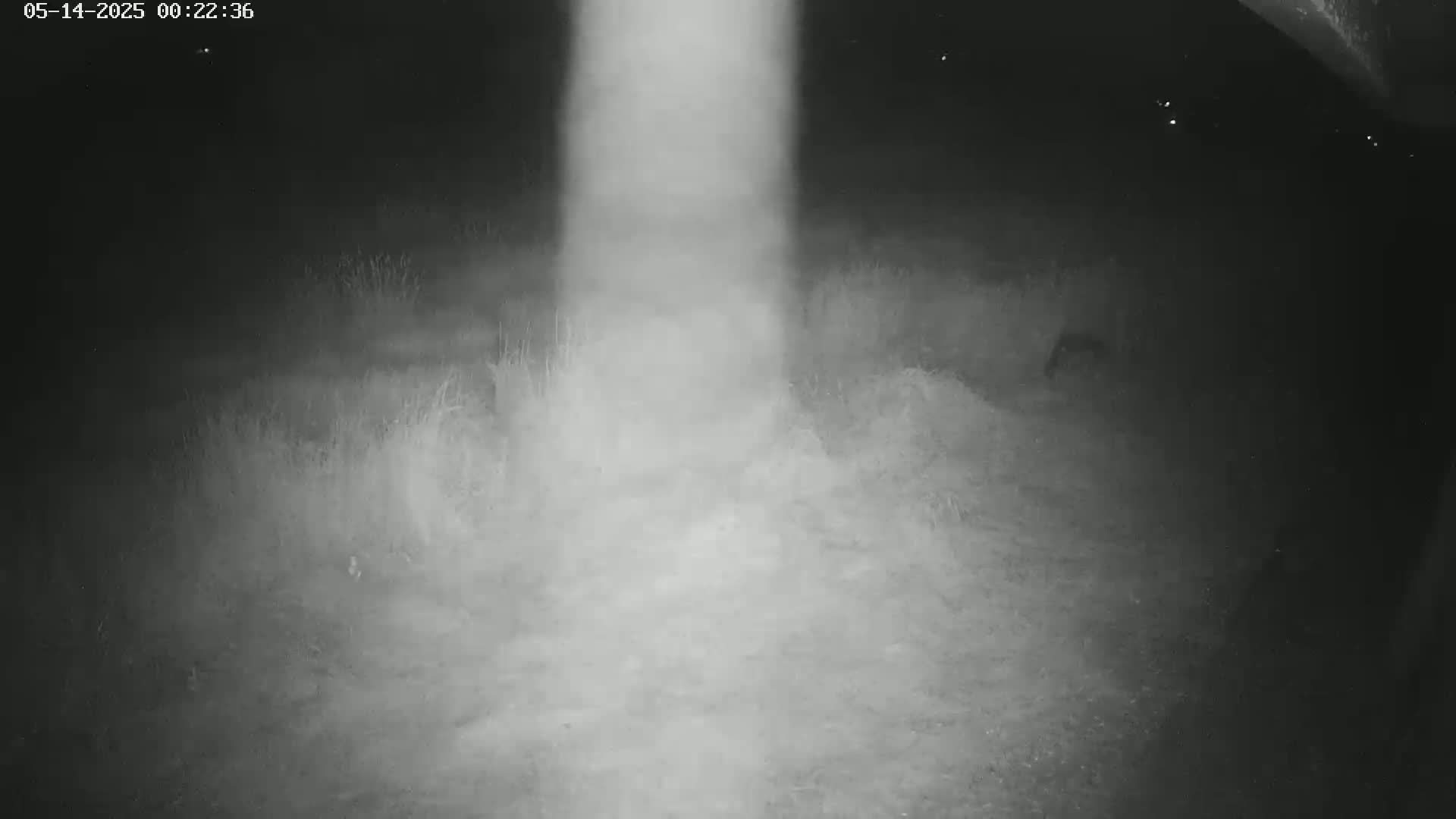Gougenheim Live Cam - Saverne, Bas-Rhin,  Grand Est, France