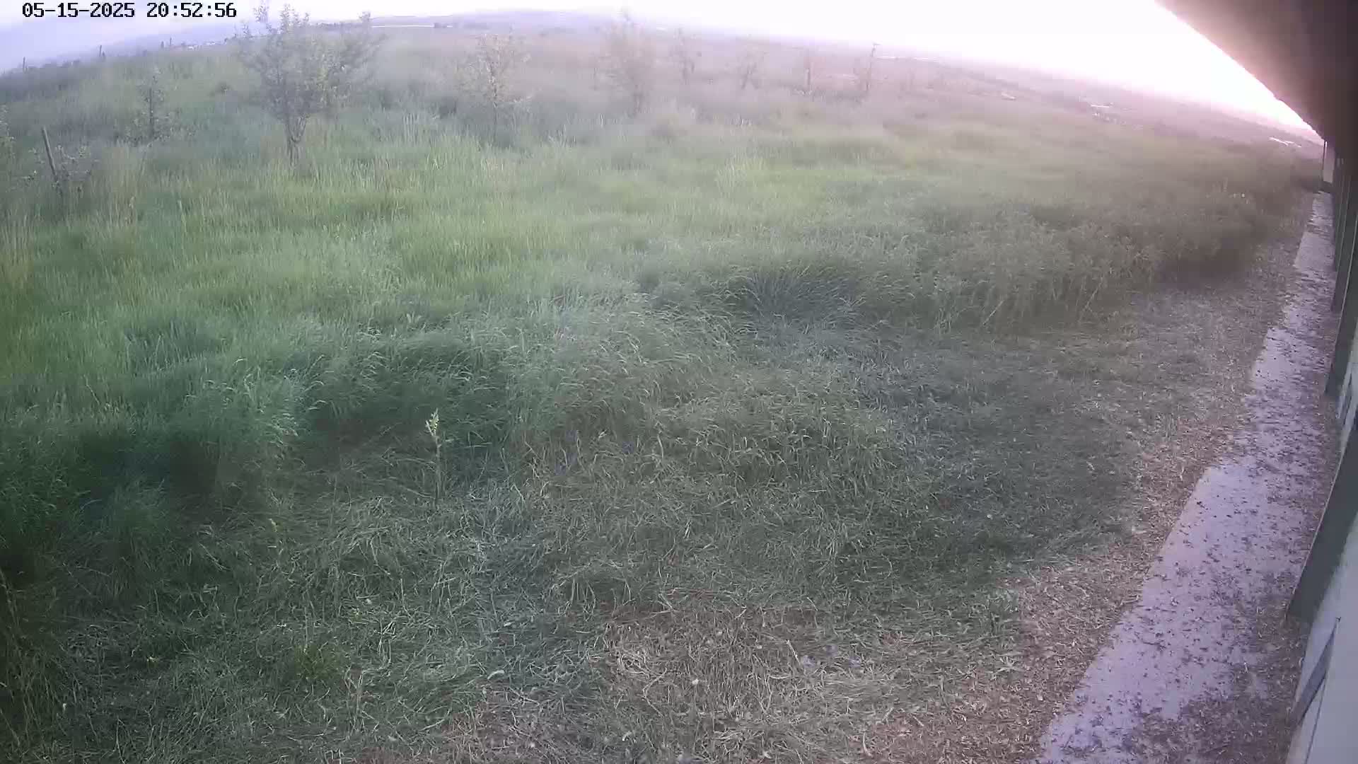 Gougenheim Live Cam - Saverne, Bas-Rhin,  Grand Est, France