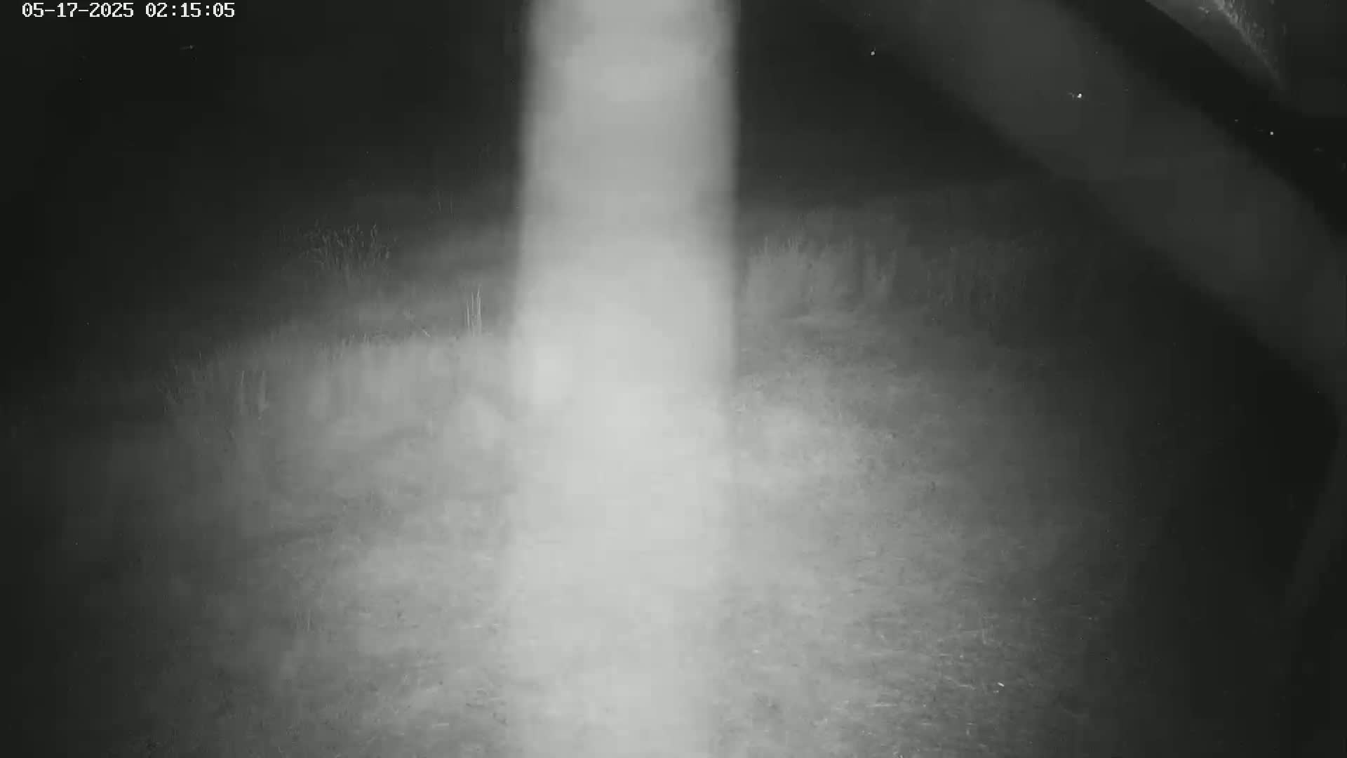 Gougenheim Live Cam - Saverne, Bas-Rhin,  Grand Est, France