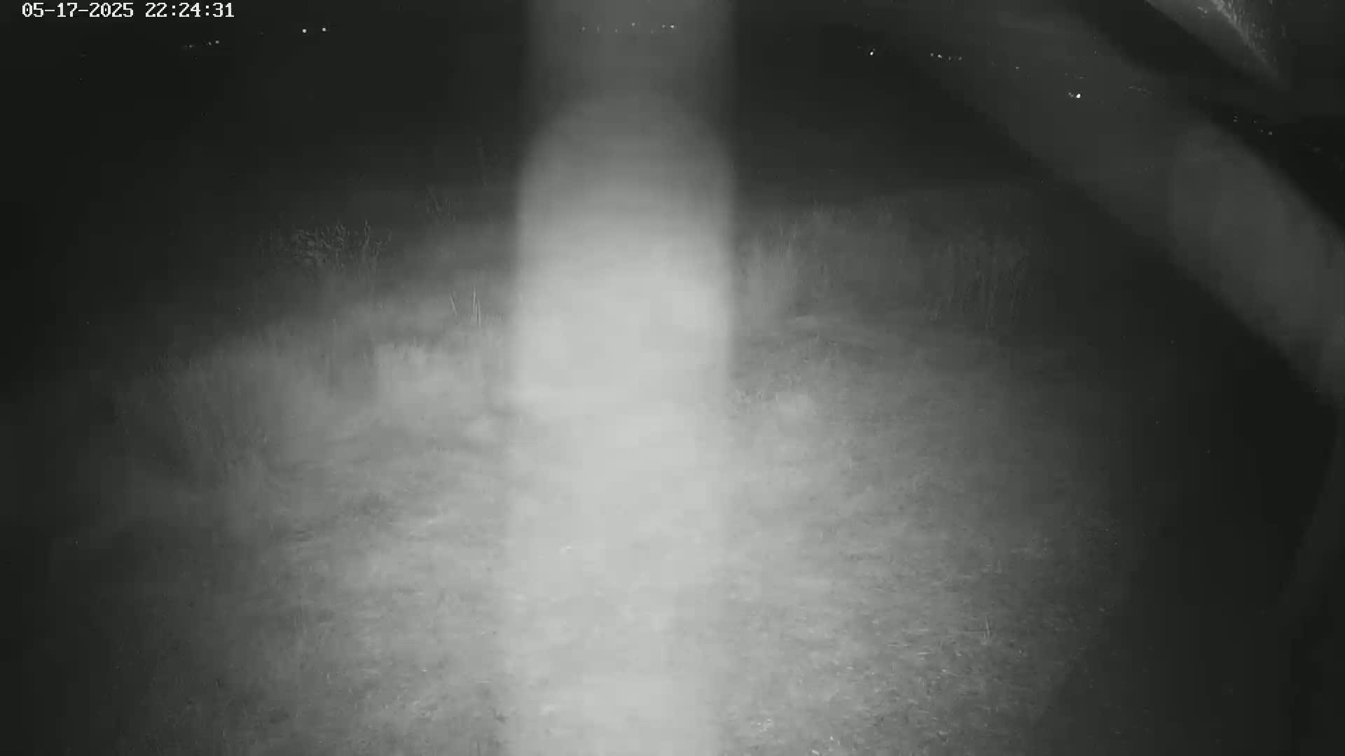 Gougenheim Live Cam - Saverne, Bas-Rhin,  Grand Est, France