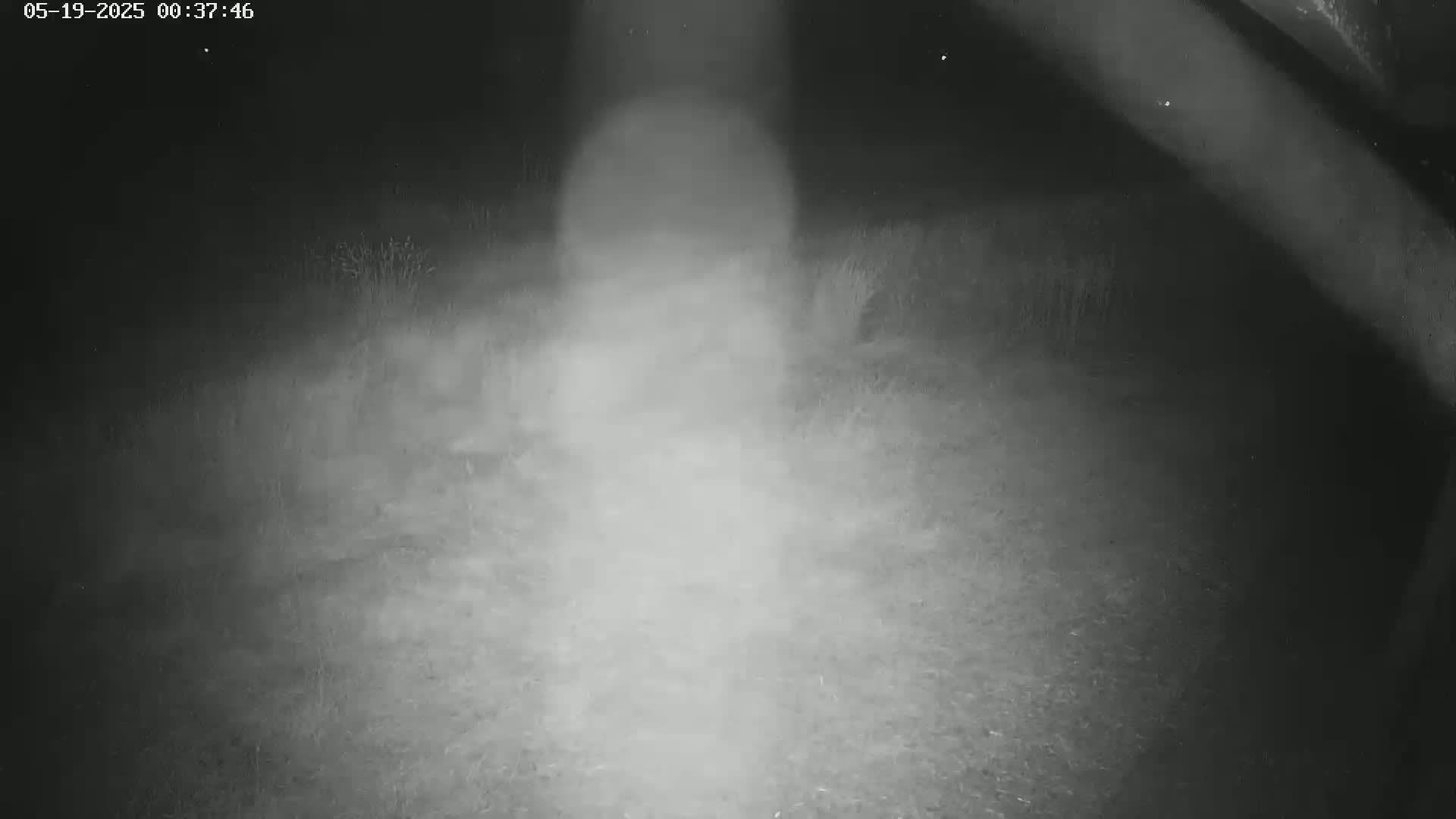 Gougenheim Live Cam - Saverne, Bas-Rhin,  Grand Est, France