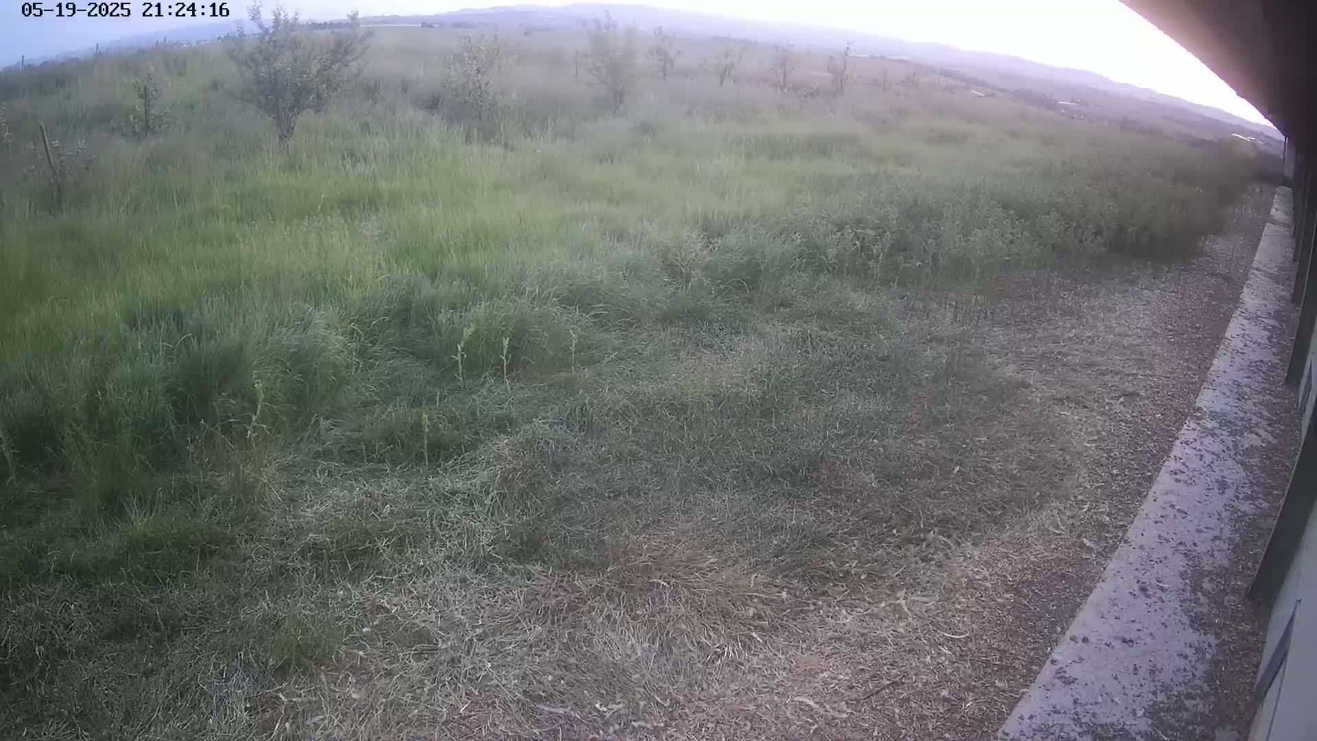 A grassy field with some small trees under a twilight sky extends to a gravel path next to a building.