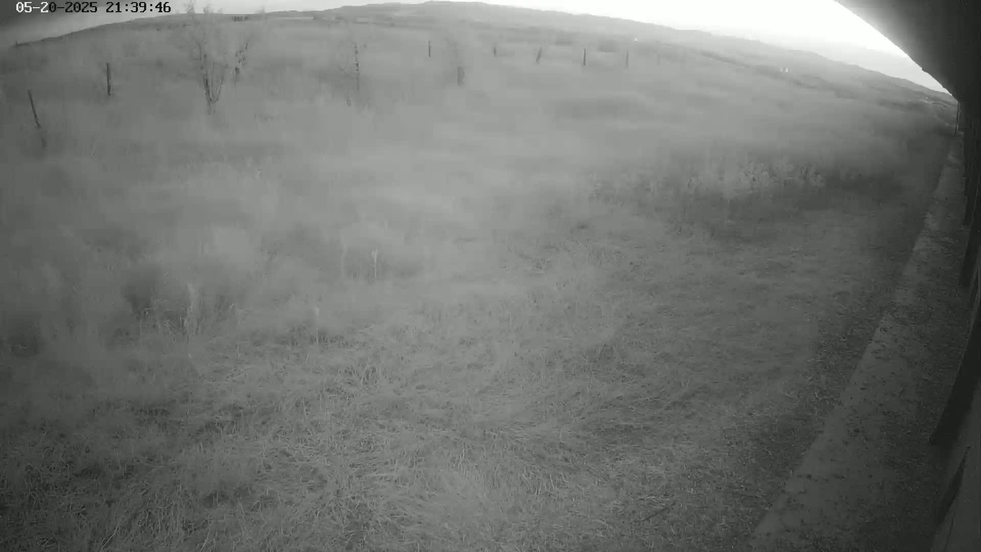 Gougenheim Live Cam - Saverne, Bas-Rhin,  Grand Est, France