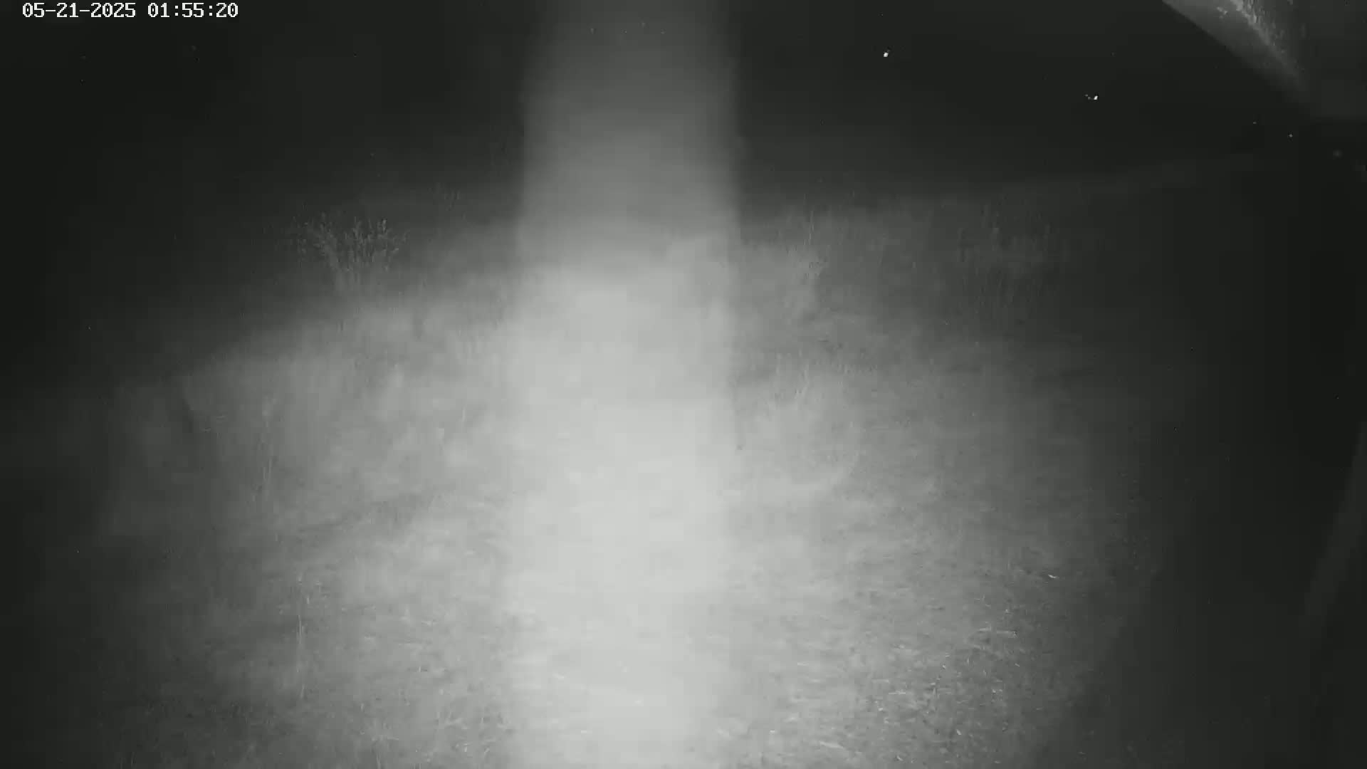 Gougenheim Live Cam - Saverne, Bas-Rhin,  Grand Est, France