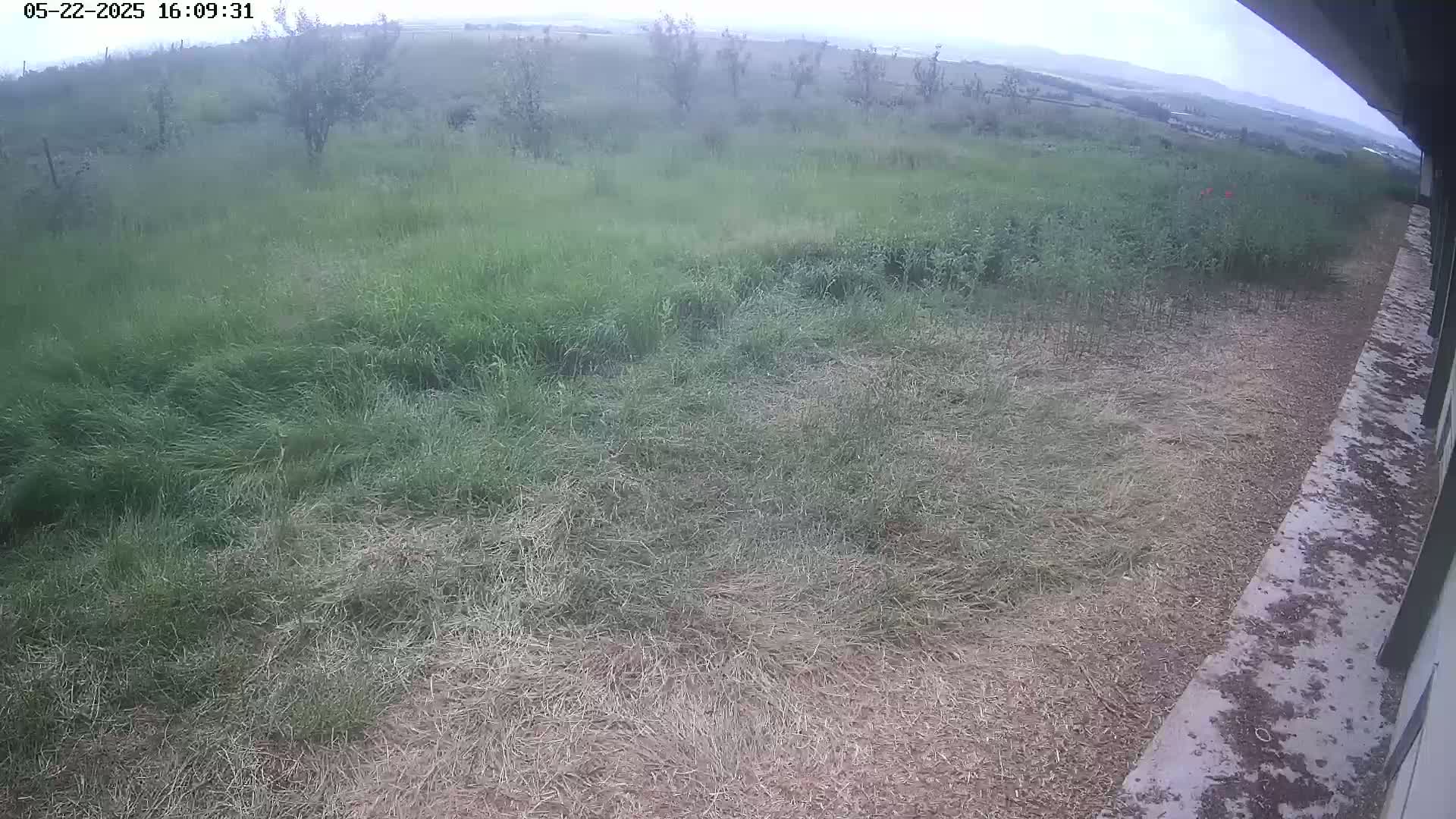 A grassy field with some taller grass and patches of cut grass stretches out to a hazy, distant landscape under an overcast sky.