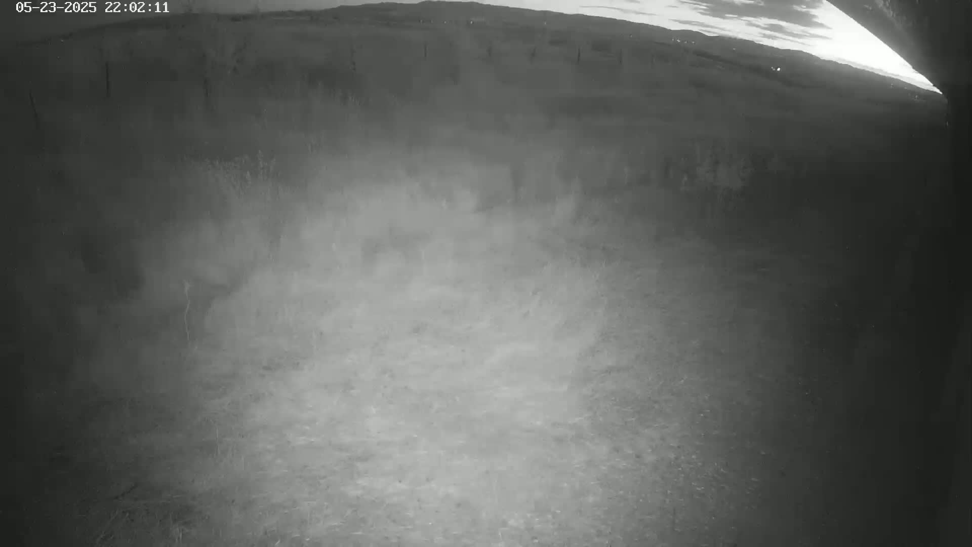 Gougenheim Live Cam - Saverne, Bas-Rhin,  Grand Est, France