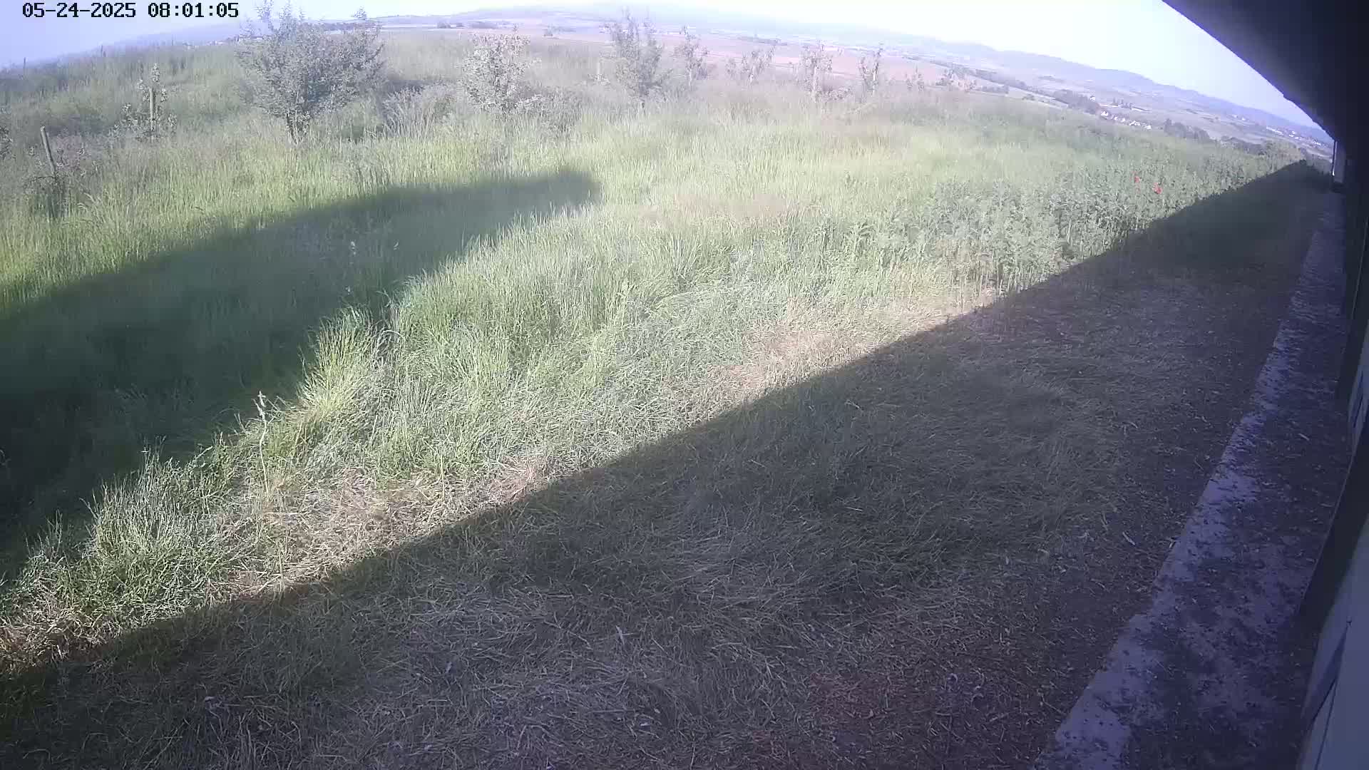 A long shadow stretches across a grassy field under a mostly clear sky.