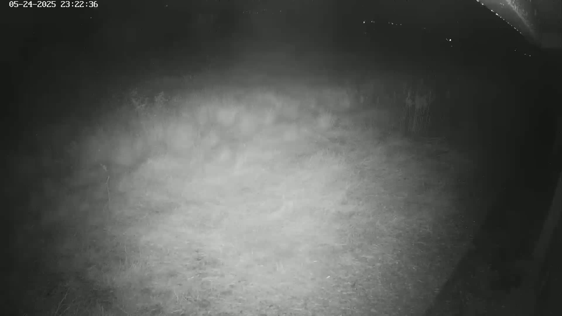 Gougenheim Live Cam - Saverne, Bas-Rhin,  Grand Est, France