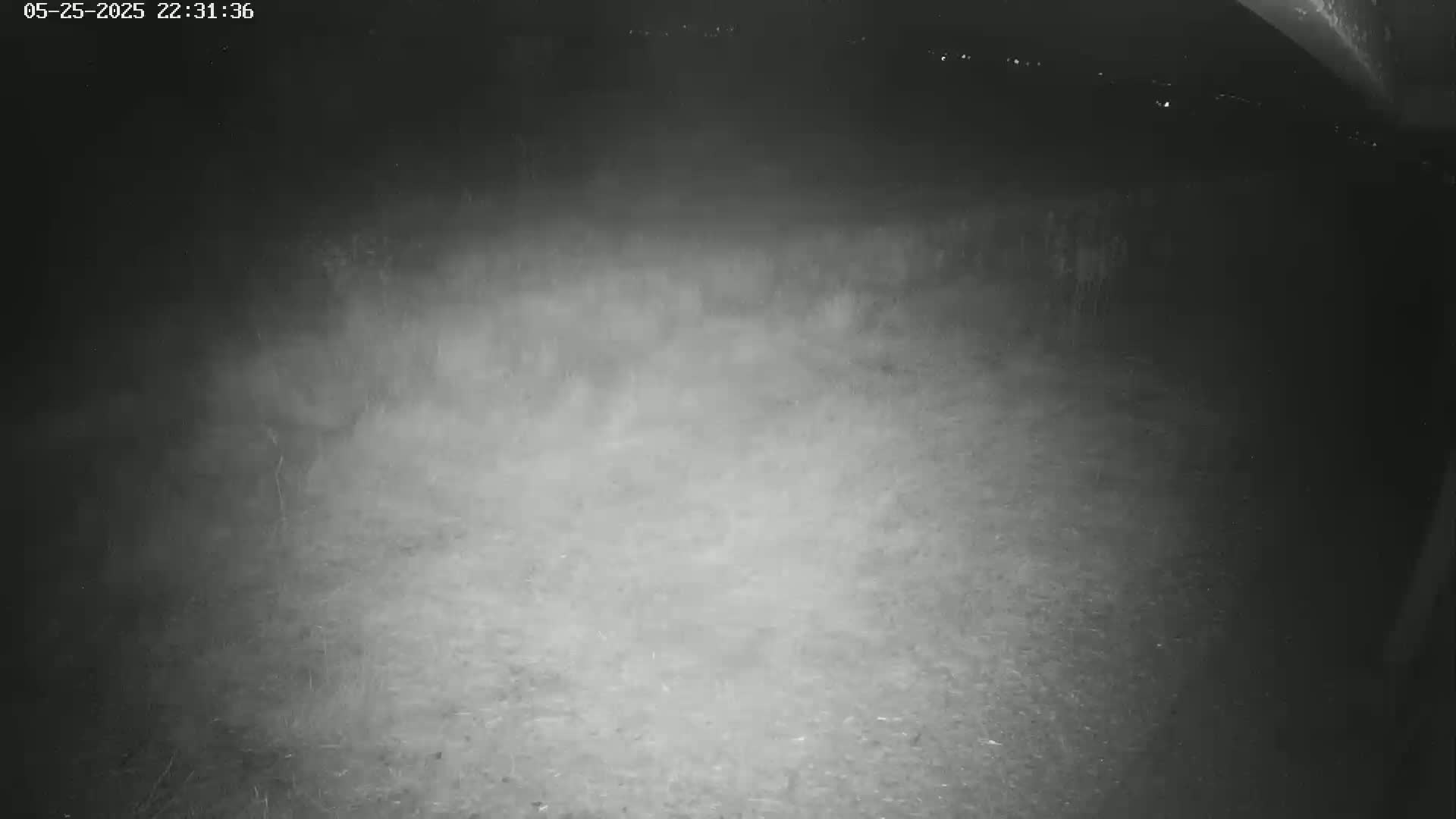 Gougenheim Live Cam - Saverne, Bas-Rhin,  Grand Est, France