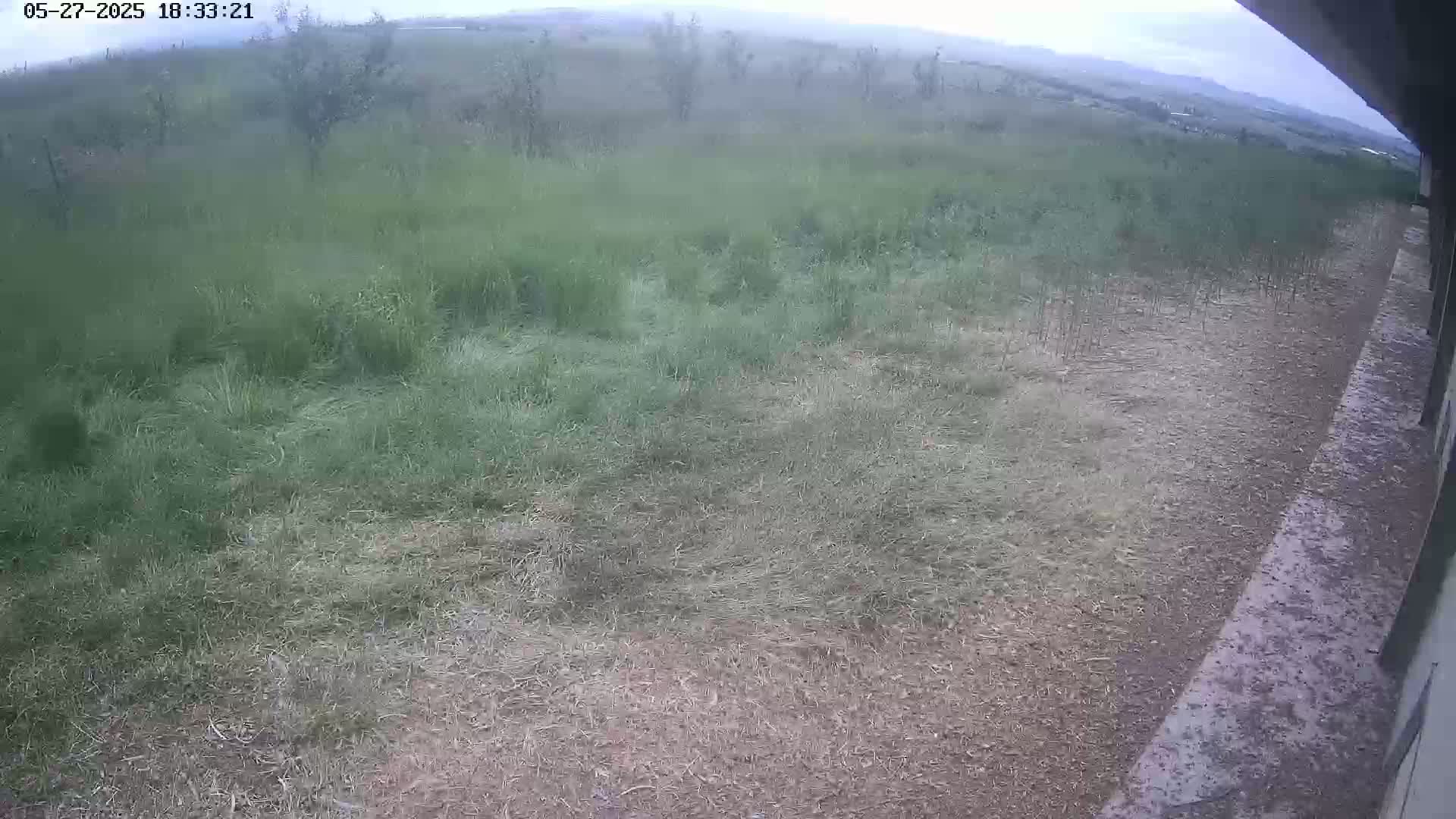 A mostly overcast sky looks over a field of tall grass, some of which has been recently cut, next to a dirt path.