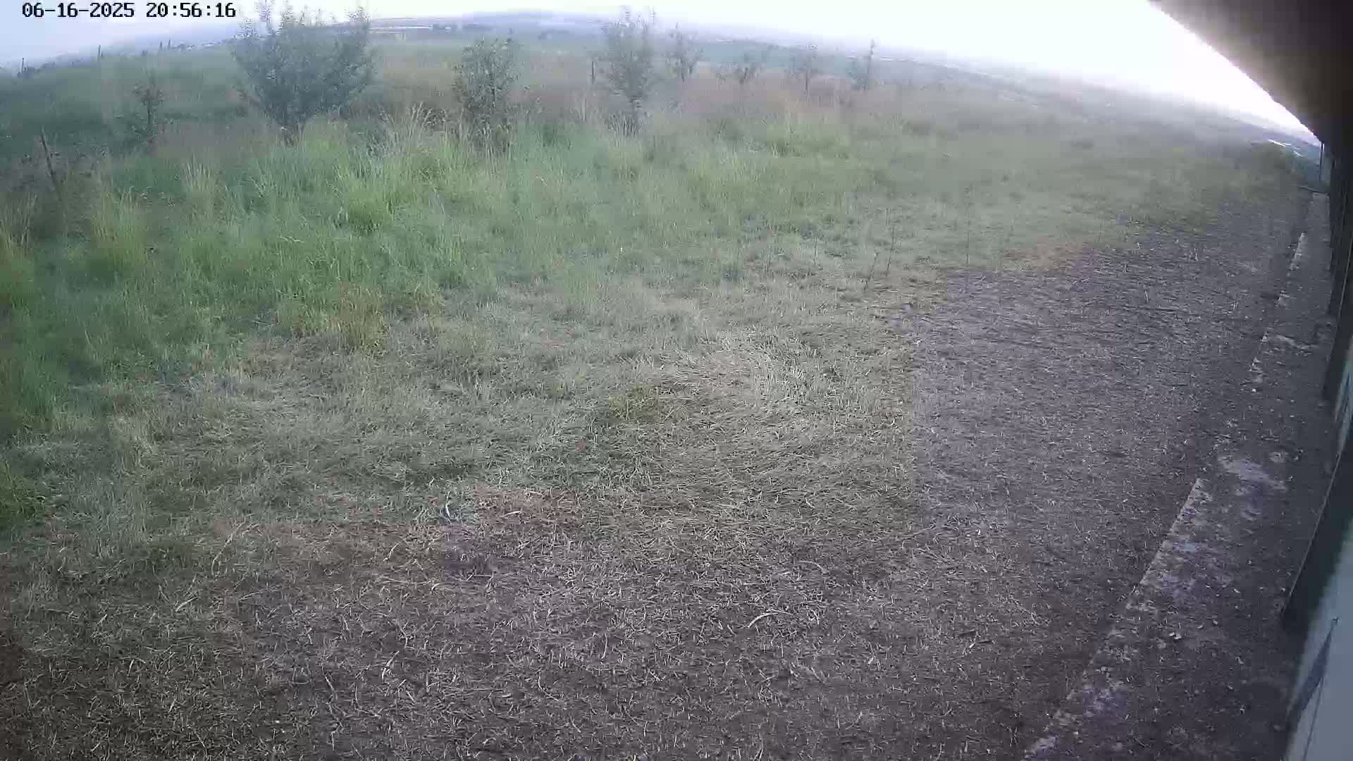 Gougenheim Live Cam - Saverne, Bas-Rhin,  Grand Est, France