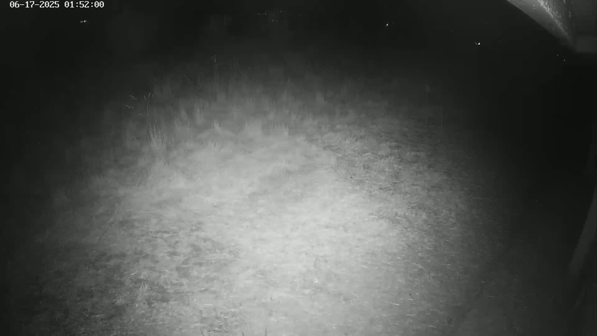 Gougenheim Live Cam - Saverne, Bas-Rhin,  Grand Est, France