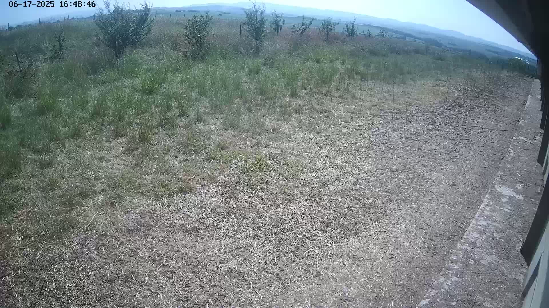 A mostly dry, grassy field with a few small trees extends to a distant mountain range under a clear sky.