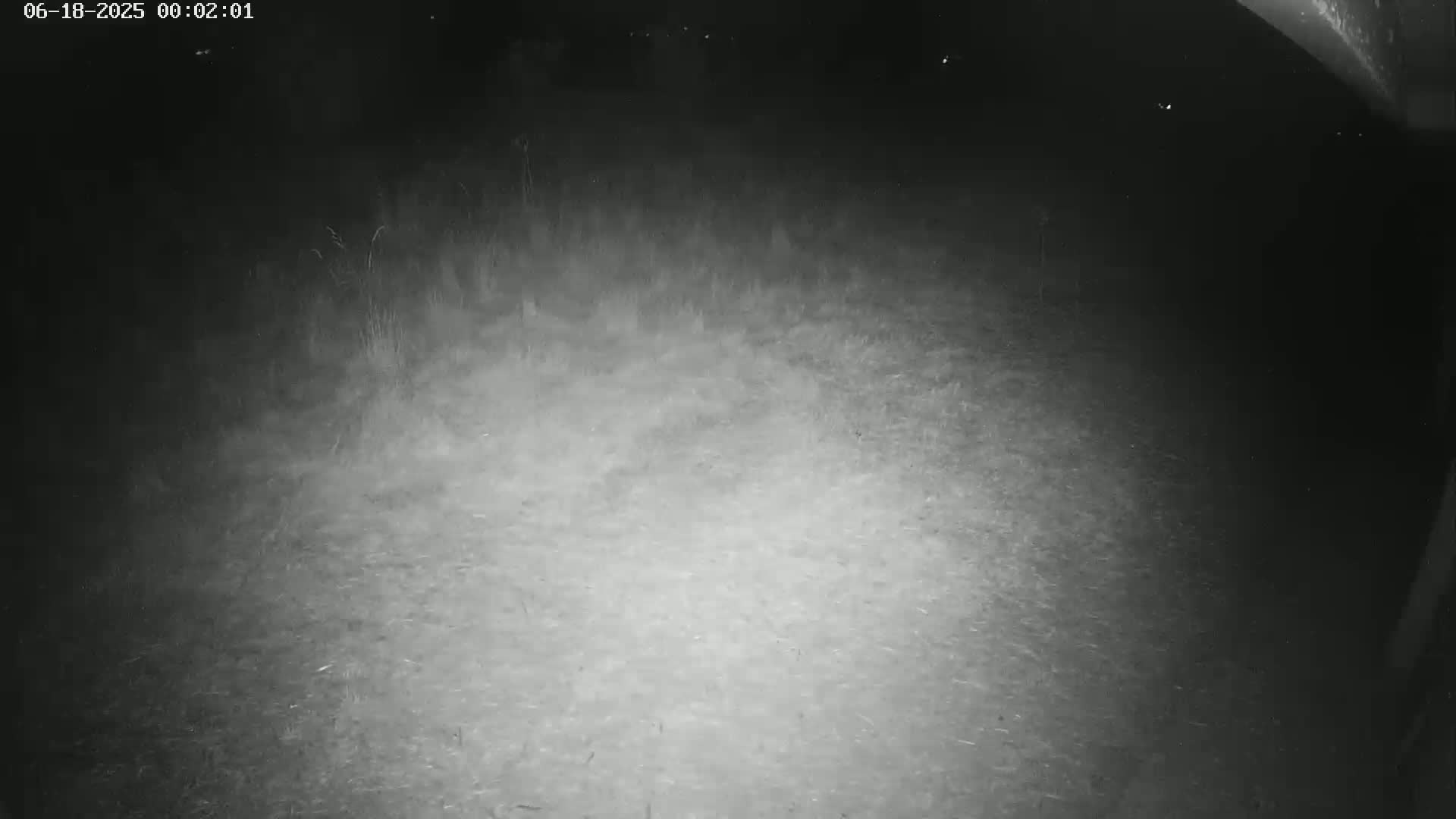 Gougenheim Live Cam - Saverne, Bas-Rhin,  Grand Est, France