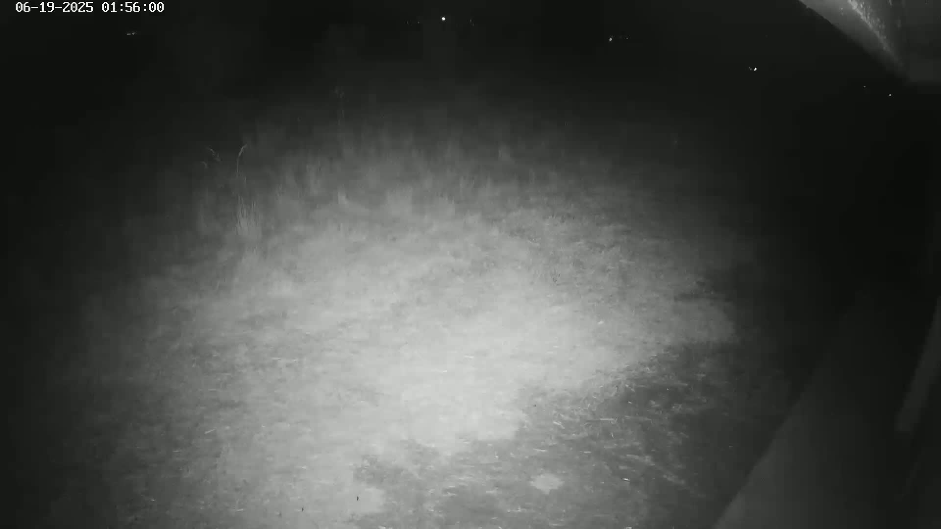 Gougenheim Live Cam - Saverne, Bas-Rhin,  Grand Est, France
