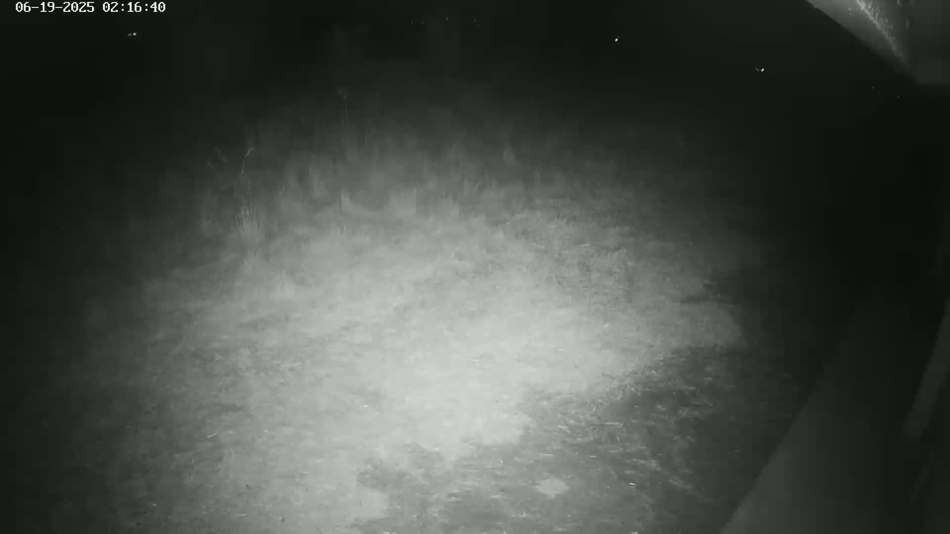 Gougenheim Live Cam - Saverne, Bas-Rhin,  Grand Est, France