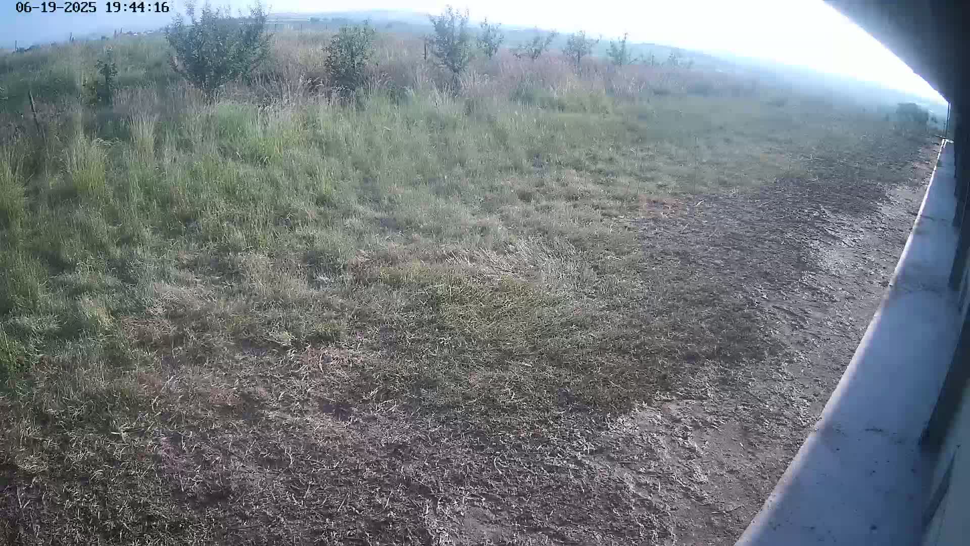 Gougenheim Live Cam - Saverne, Bas-Rhin,  Grand Est, France
